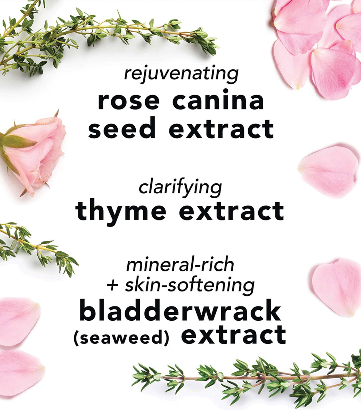 Facial Spray with Aloe, Herbs and Rosewater