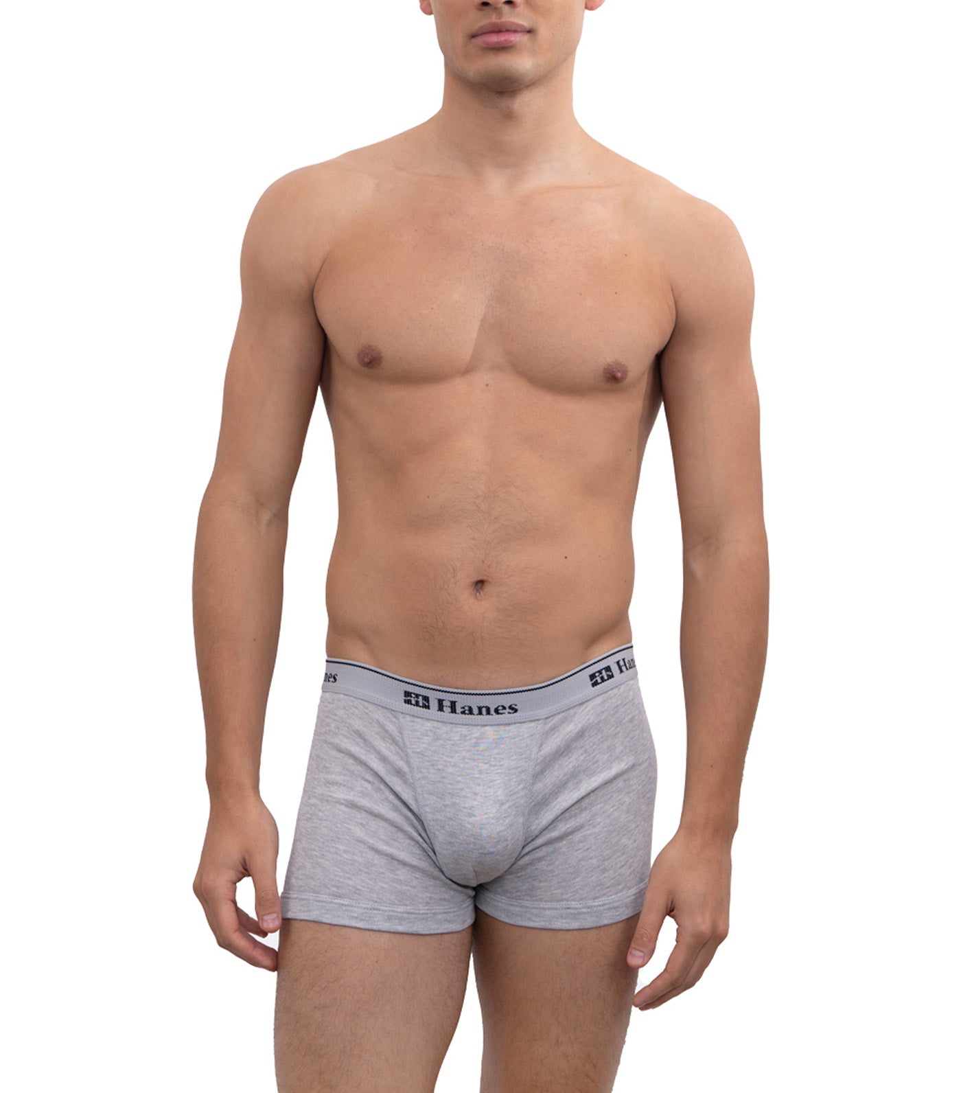 Hanes 3-Pack Tagless Boxer Brief Heather Gray