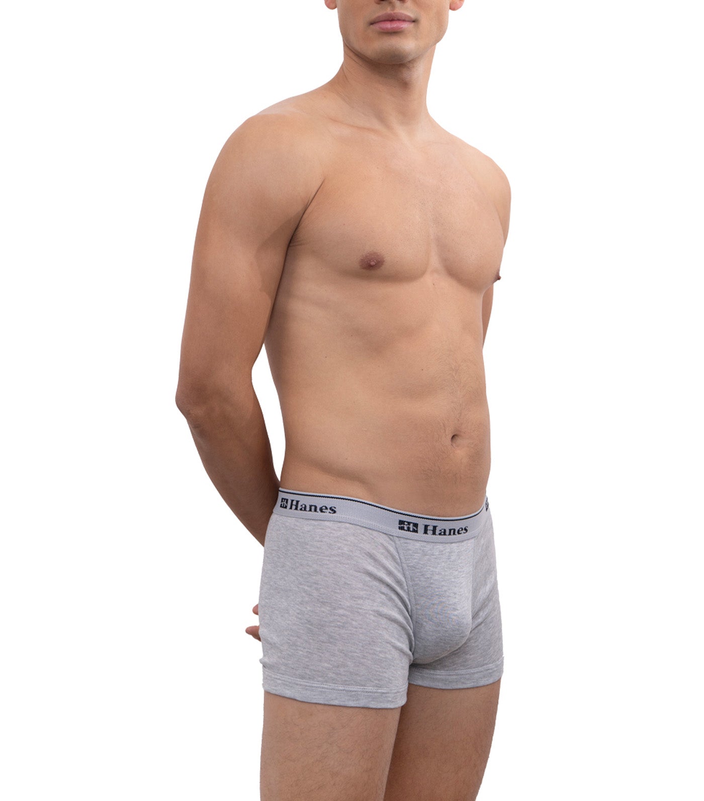 Hanes 3-Pack Tagless Boxer Brief Heather Gray