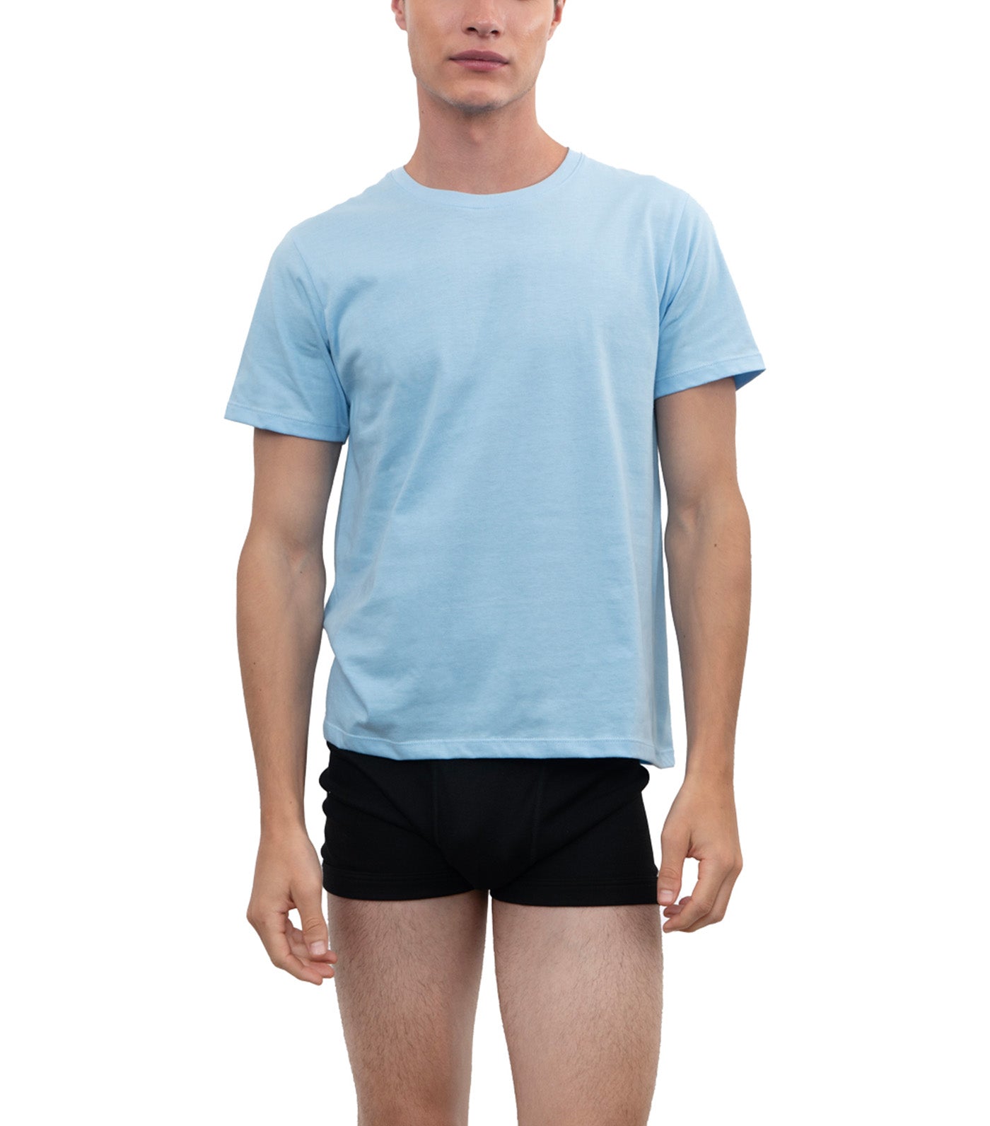 Hanes Men's Round Neck Tee Blue