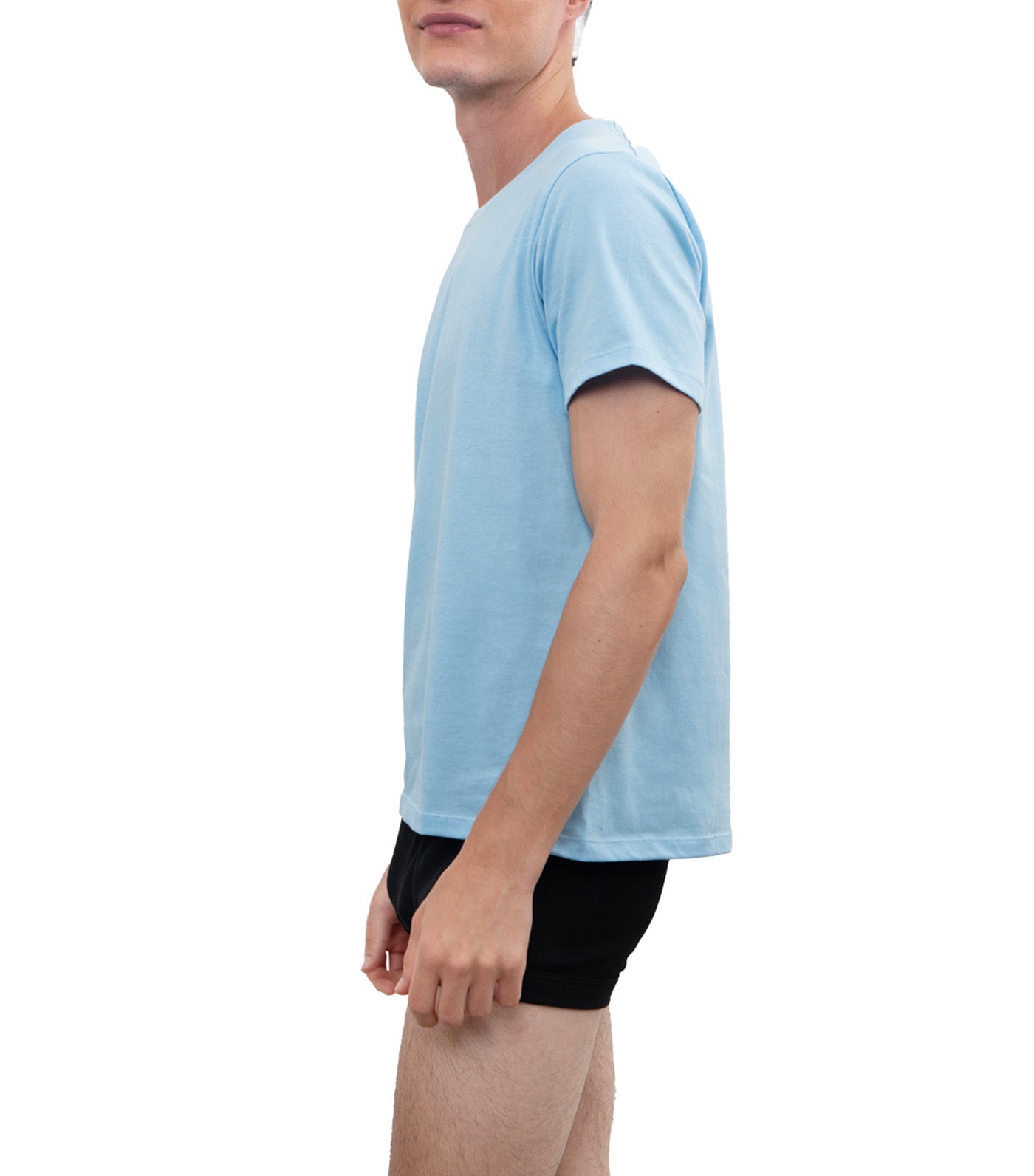 Hanes Men's Round Neck Tee Blue