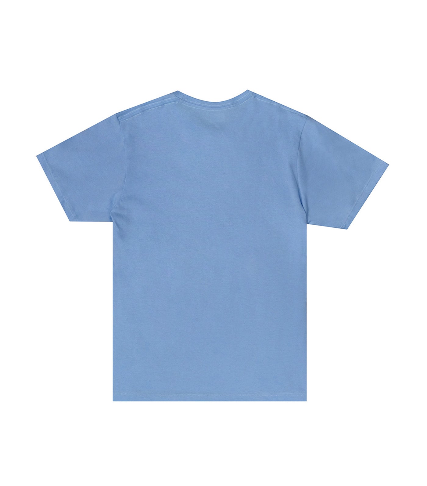 Hanes Men's Round Neck Tee Blue