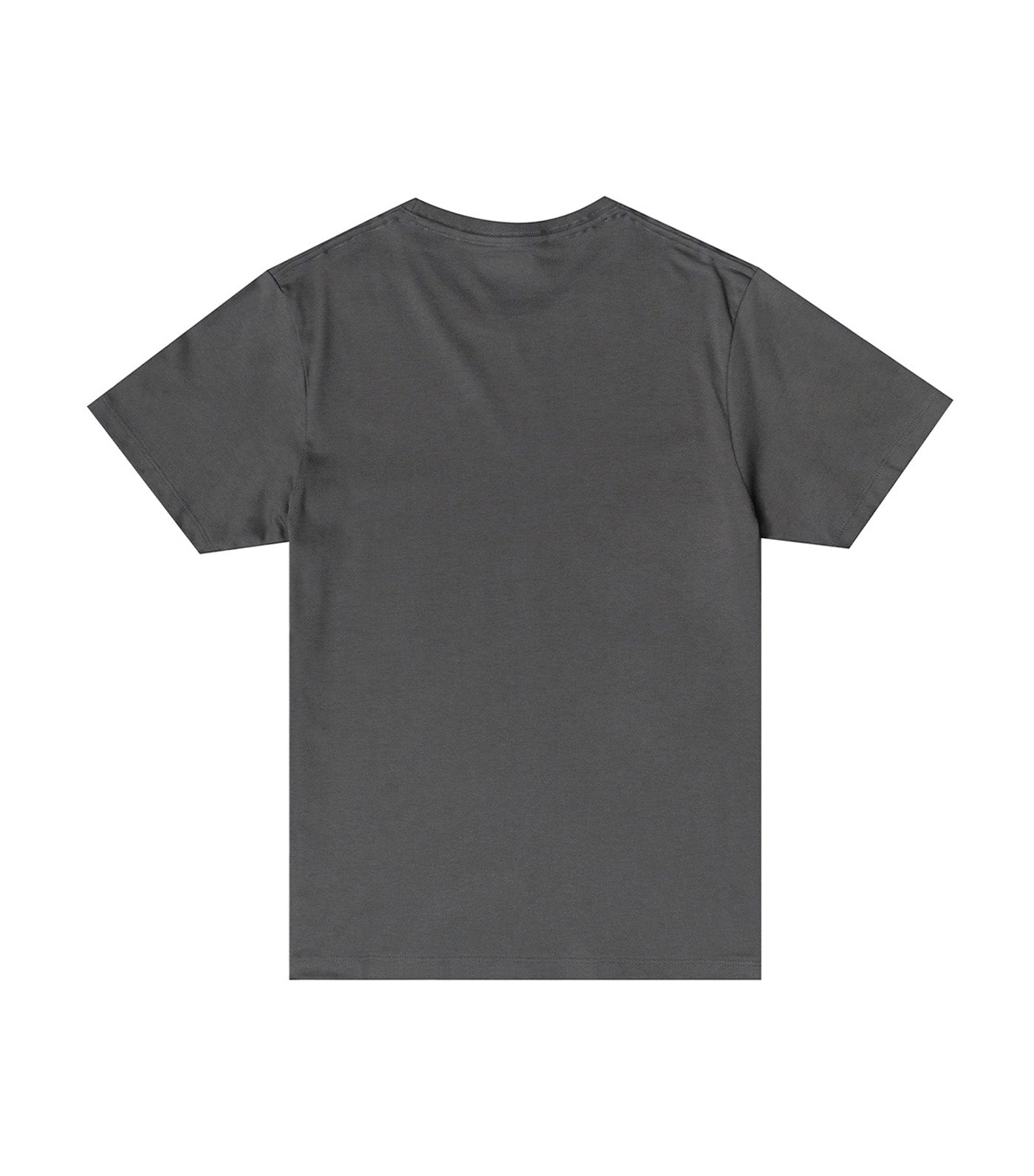 Hanes Men's Round Neck Tee Gray