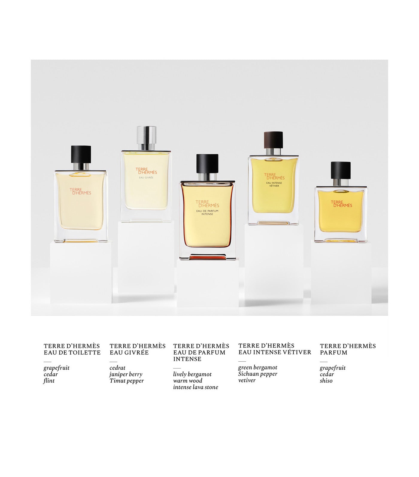 Terre d'Hermès Eau de Parfum Intense