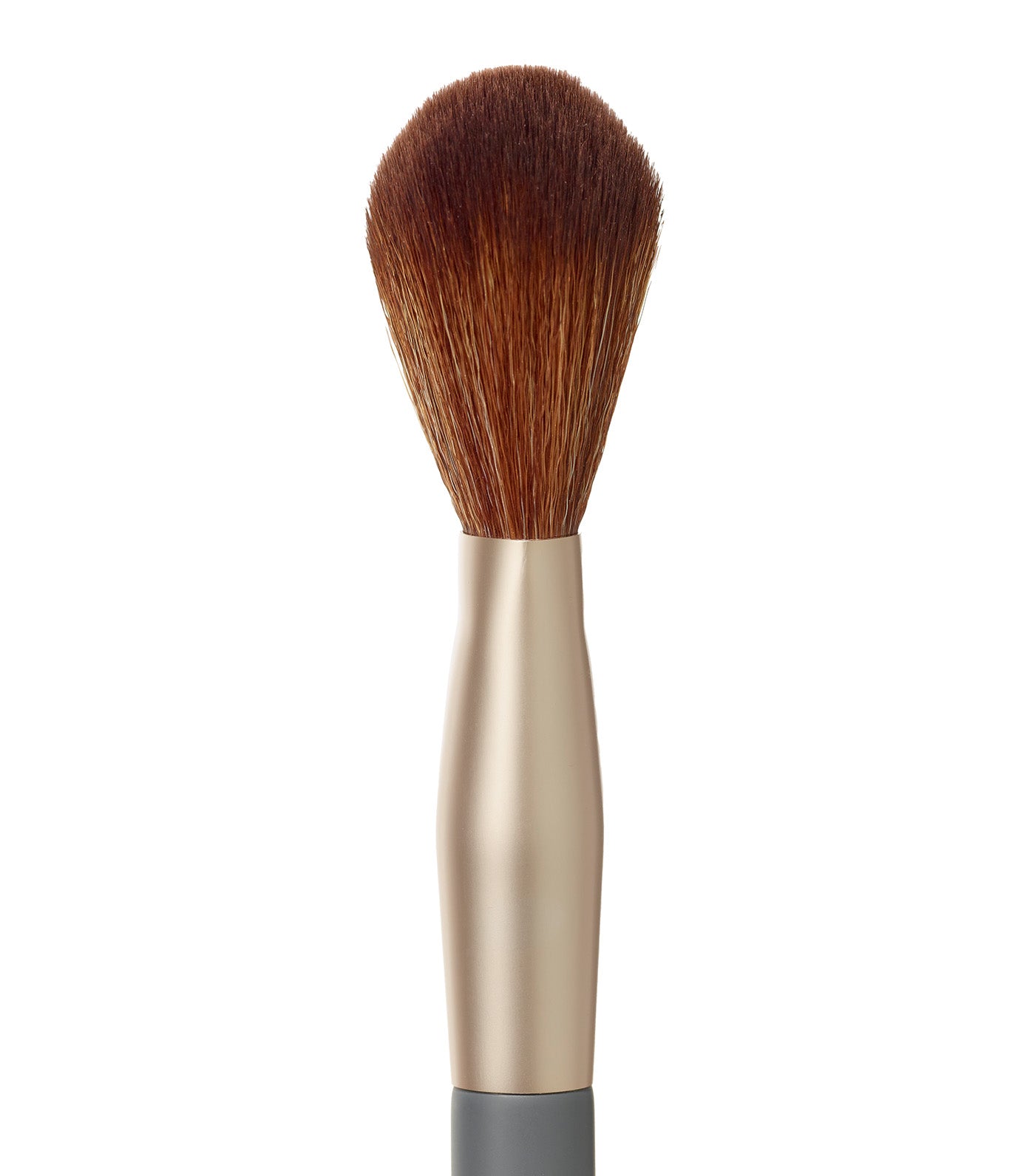Powder Complexion Brush