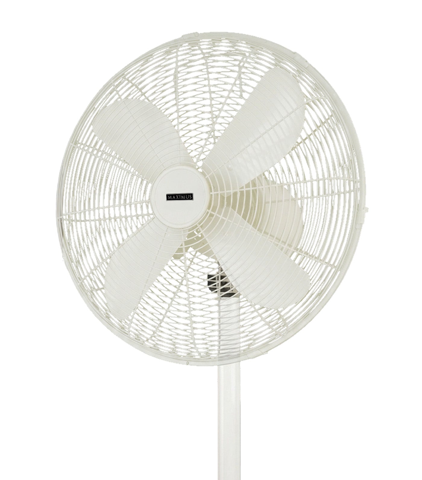 Maximus Retro Fan Cream