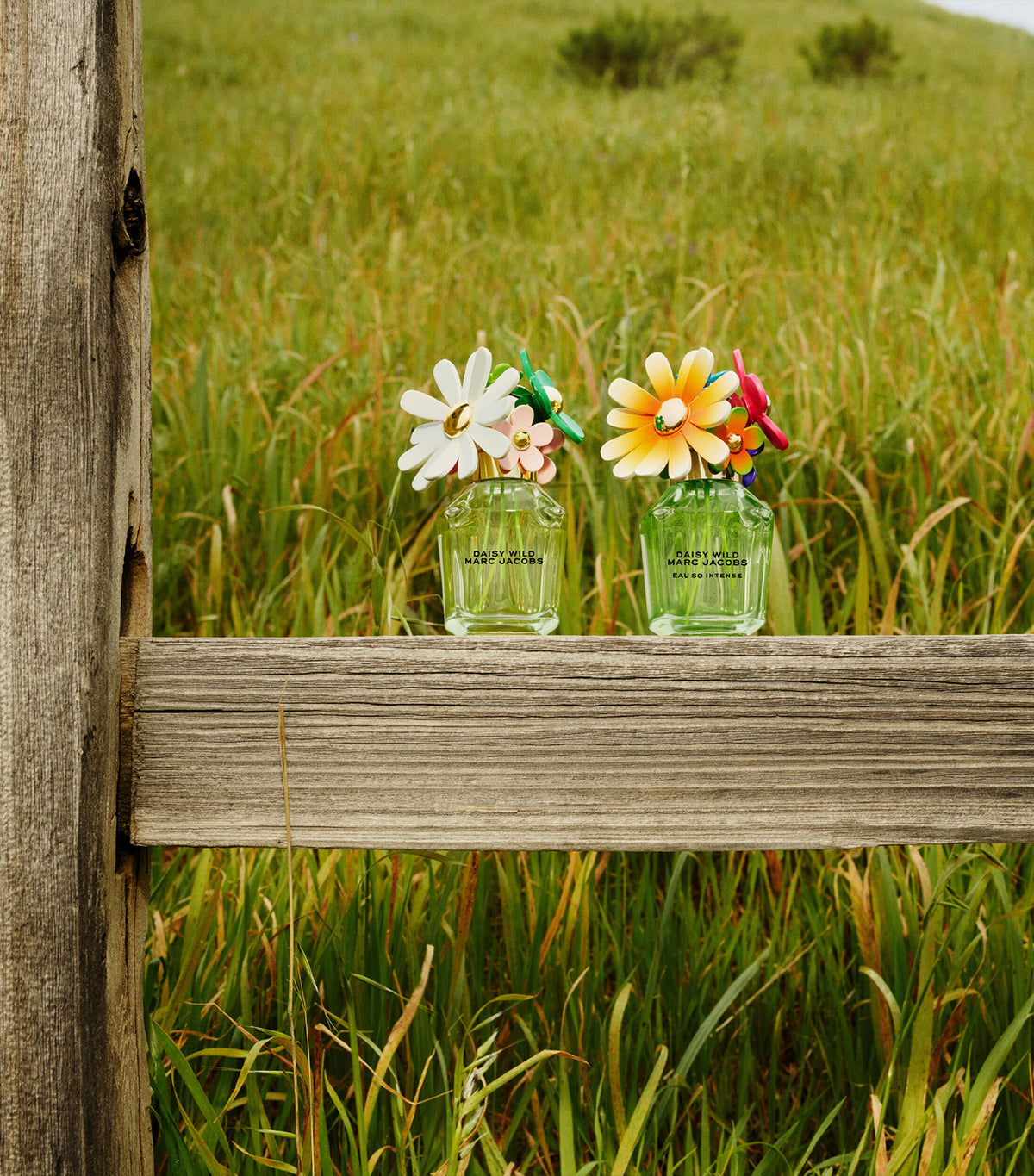 Daisy Wild Eau So Intense Eau de Parfum