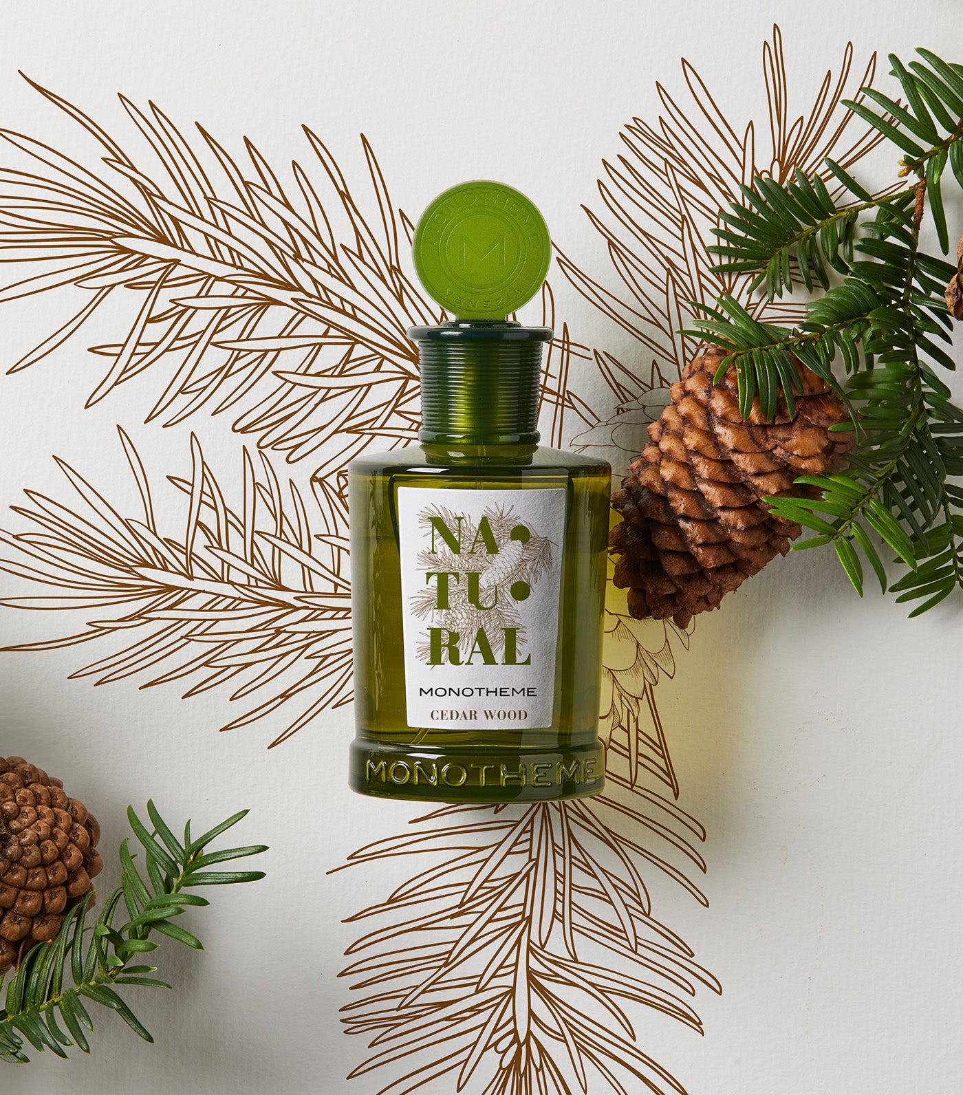 Natural Cedar Wood Eau de Toilette
