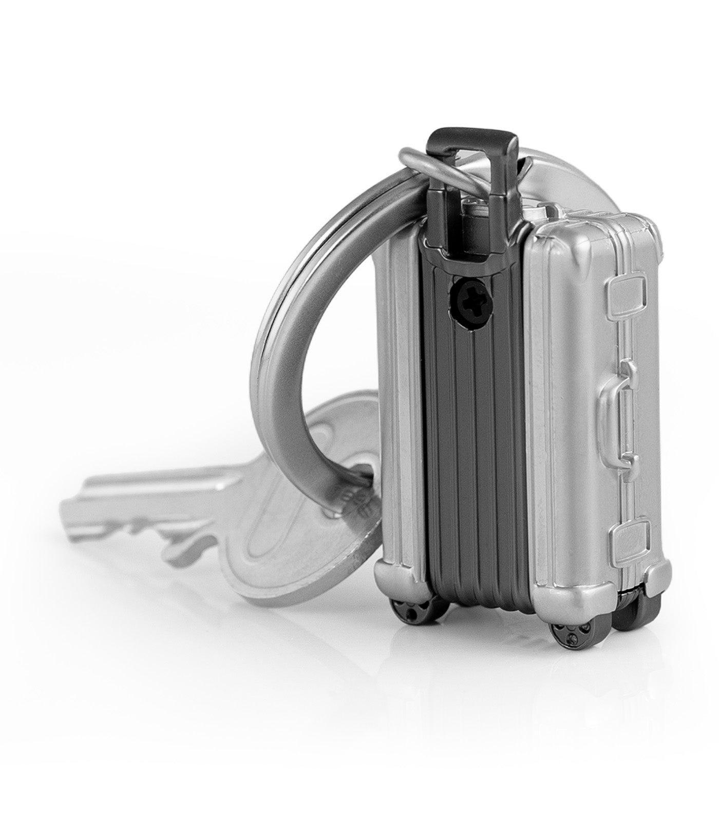 Luggage Keyring