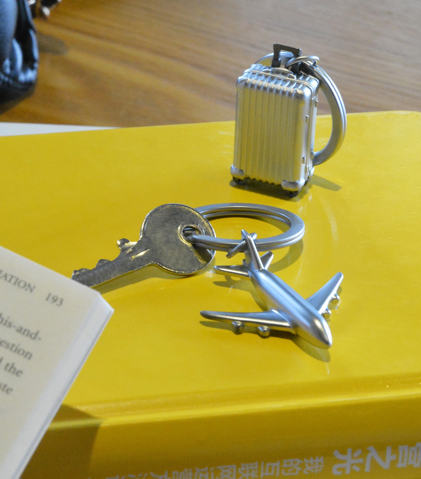 Luggage Keyring