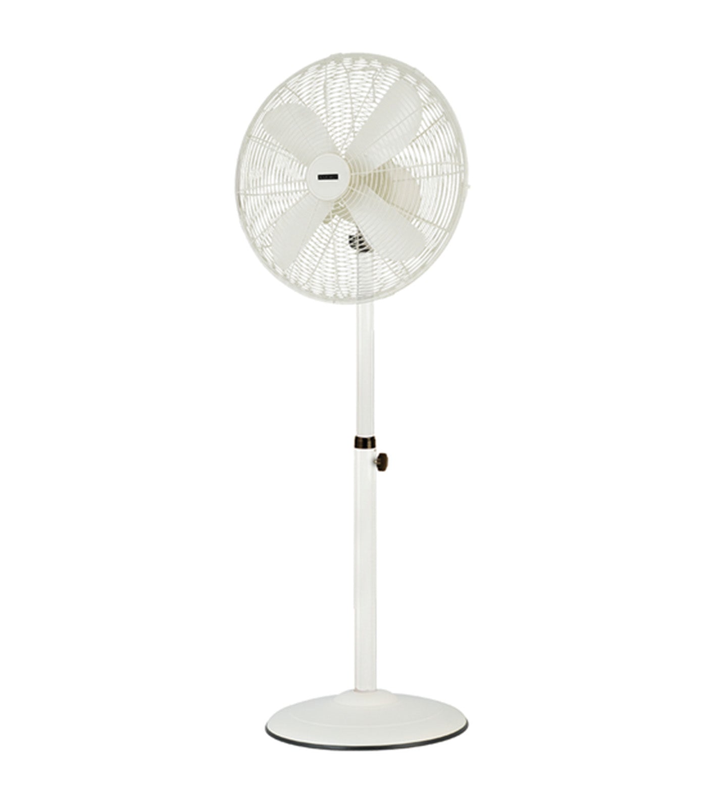 Maximus Retro Fan Cream