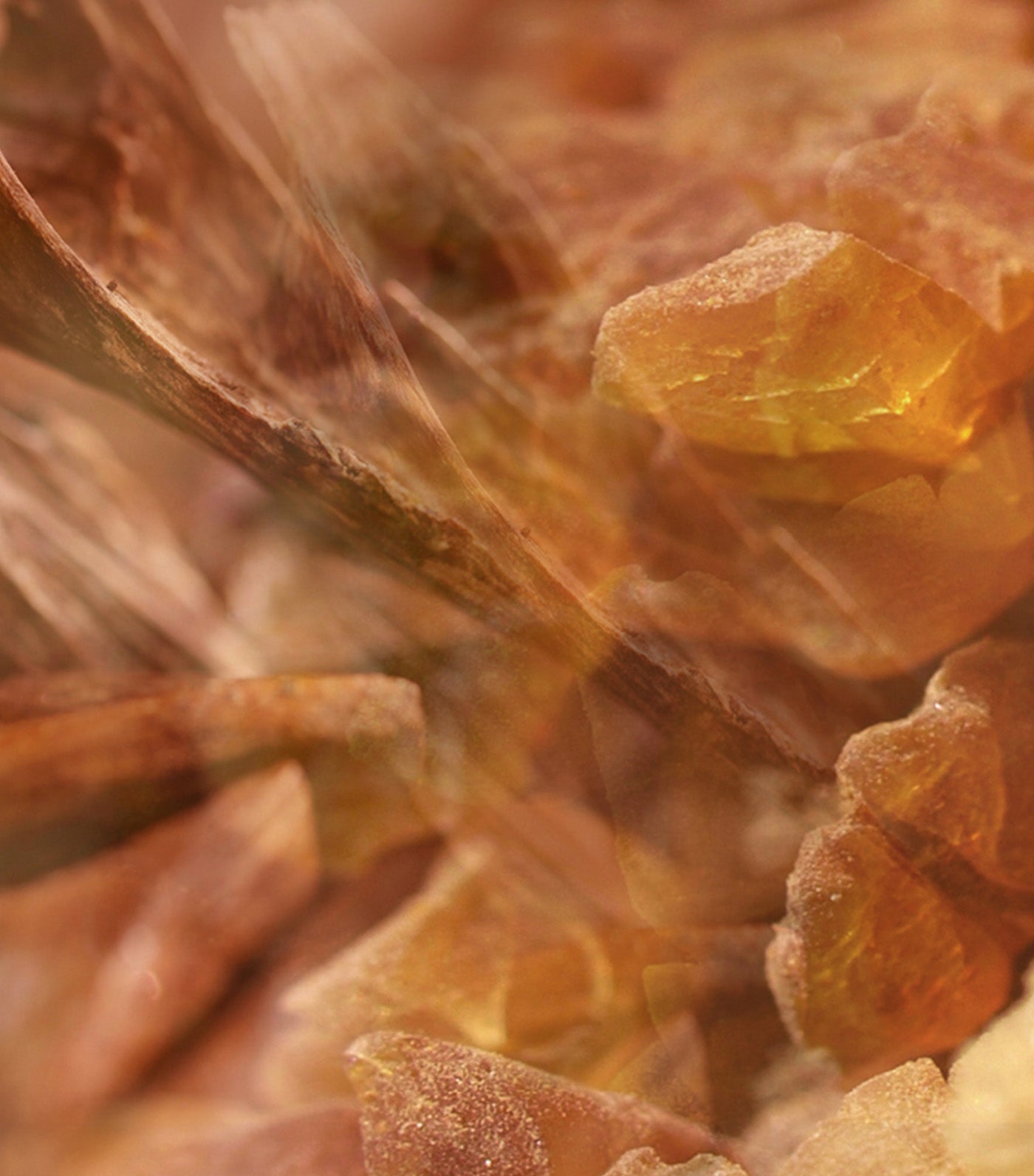 Ambra Diffuser Unisex