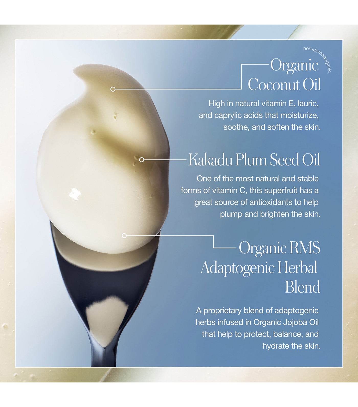 Coconut Clean Cleansing Balm