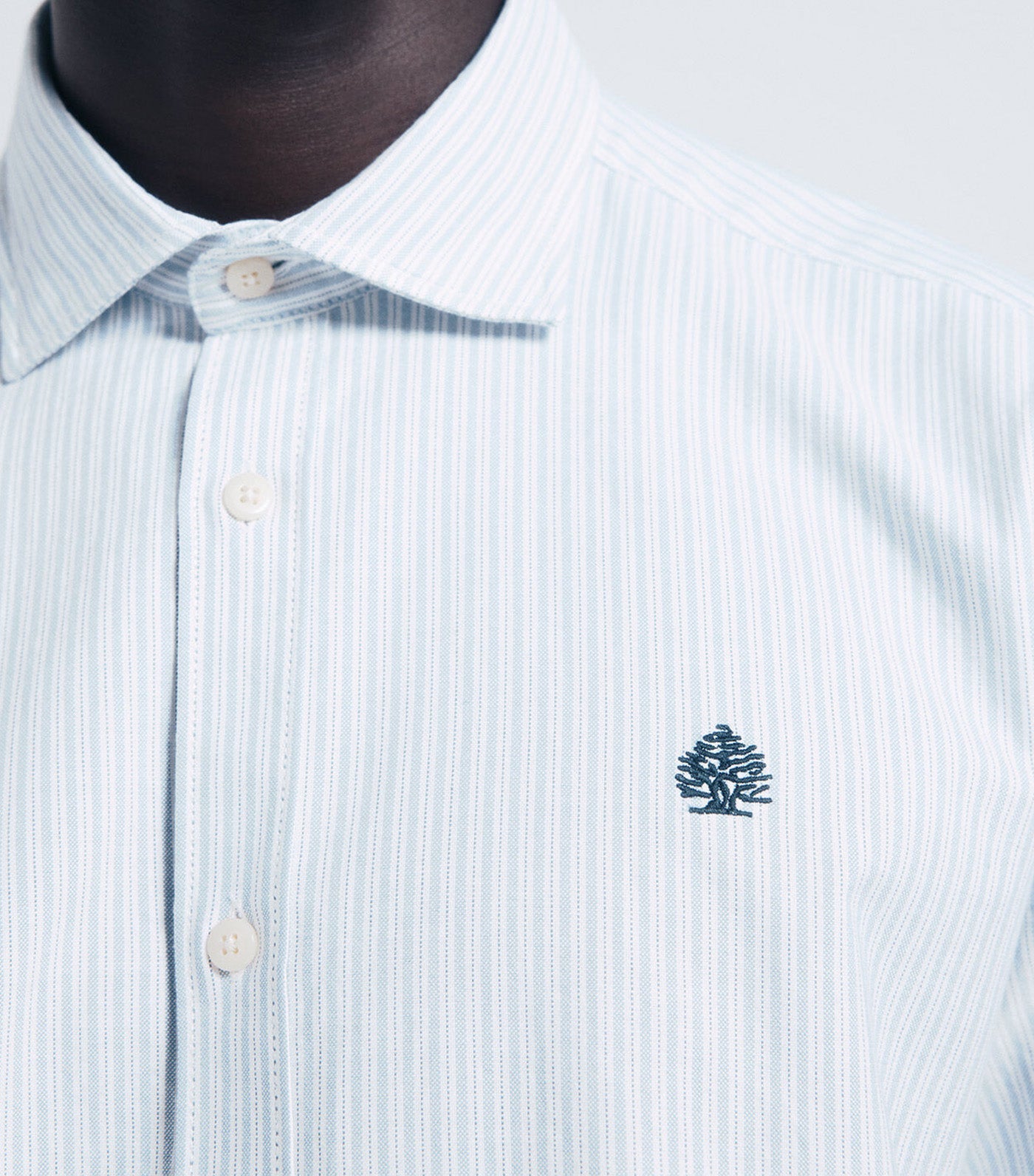 Striped Oxford Shirt