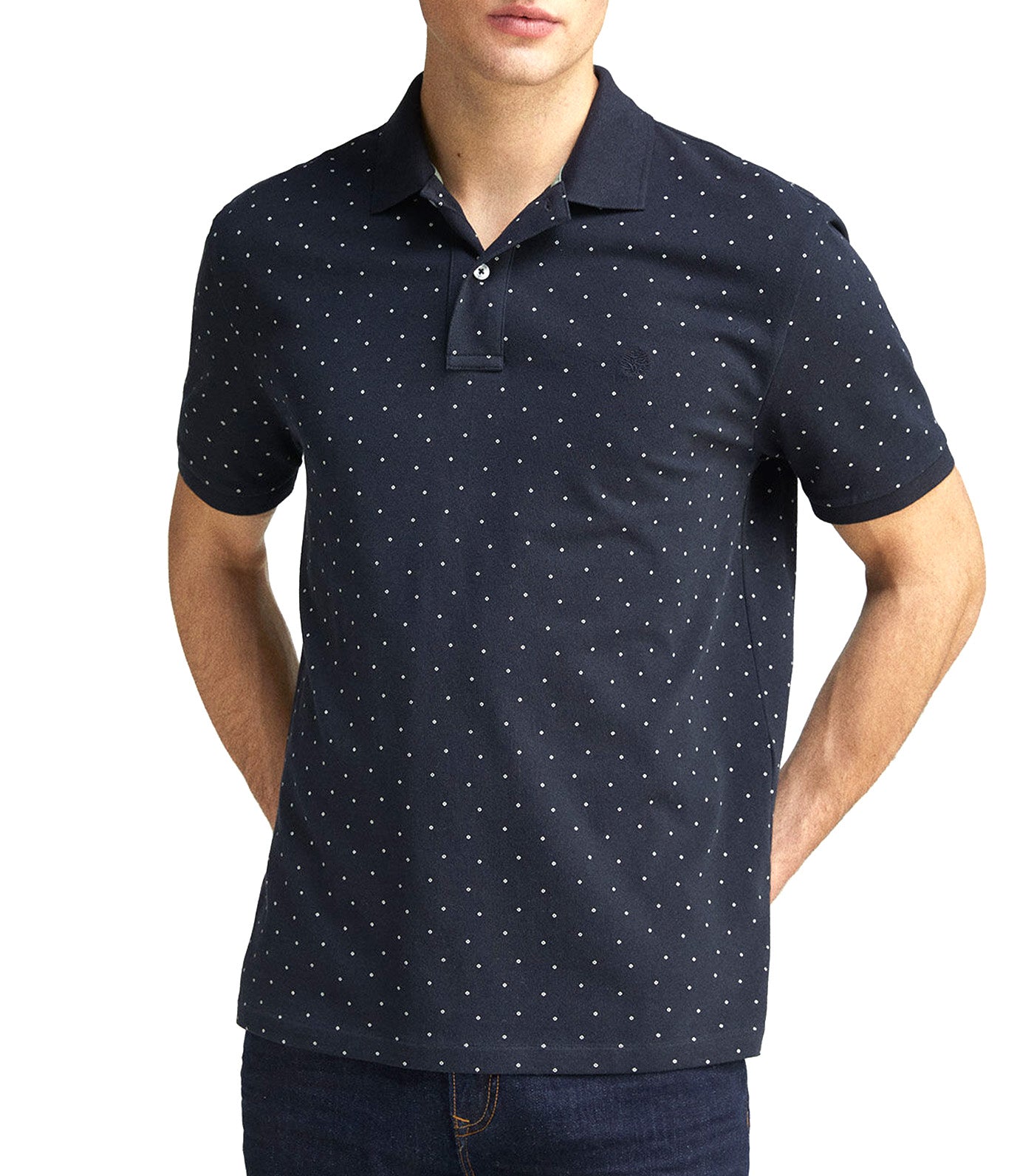 Regular Fit All-Over Print Piqué Polo
