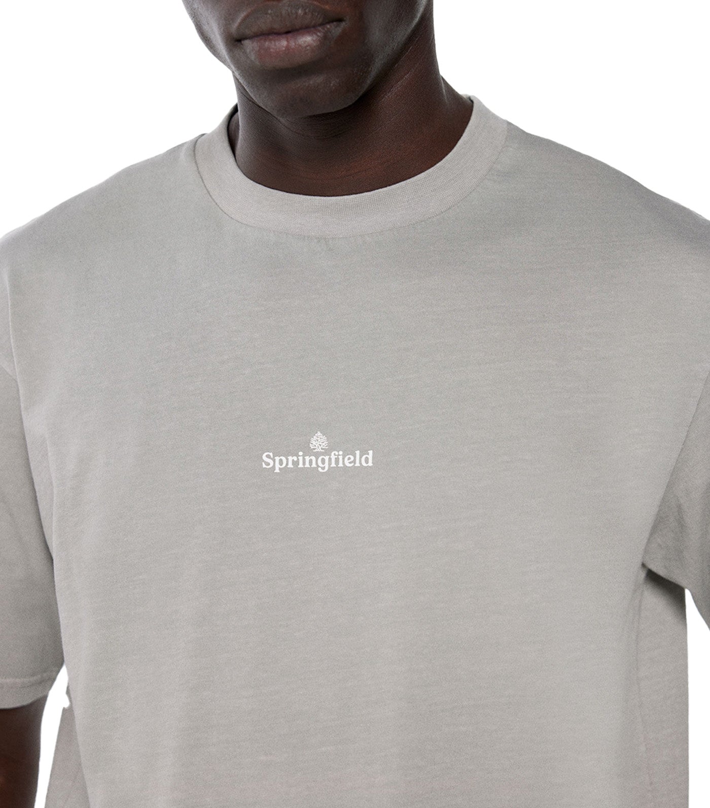 Washed Logo T-Shirt Gray
