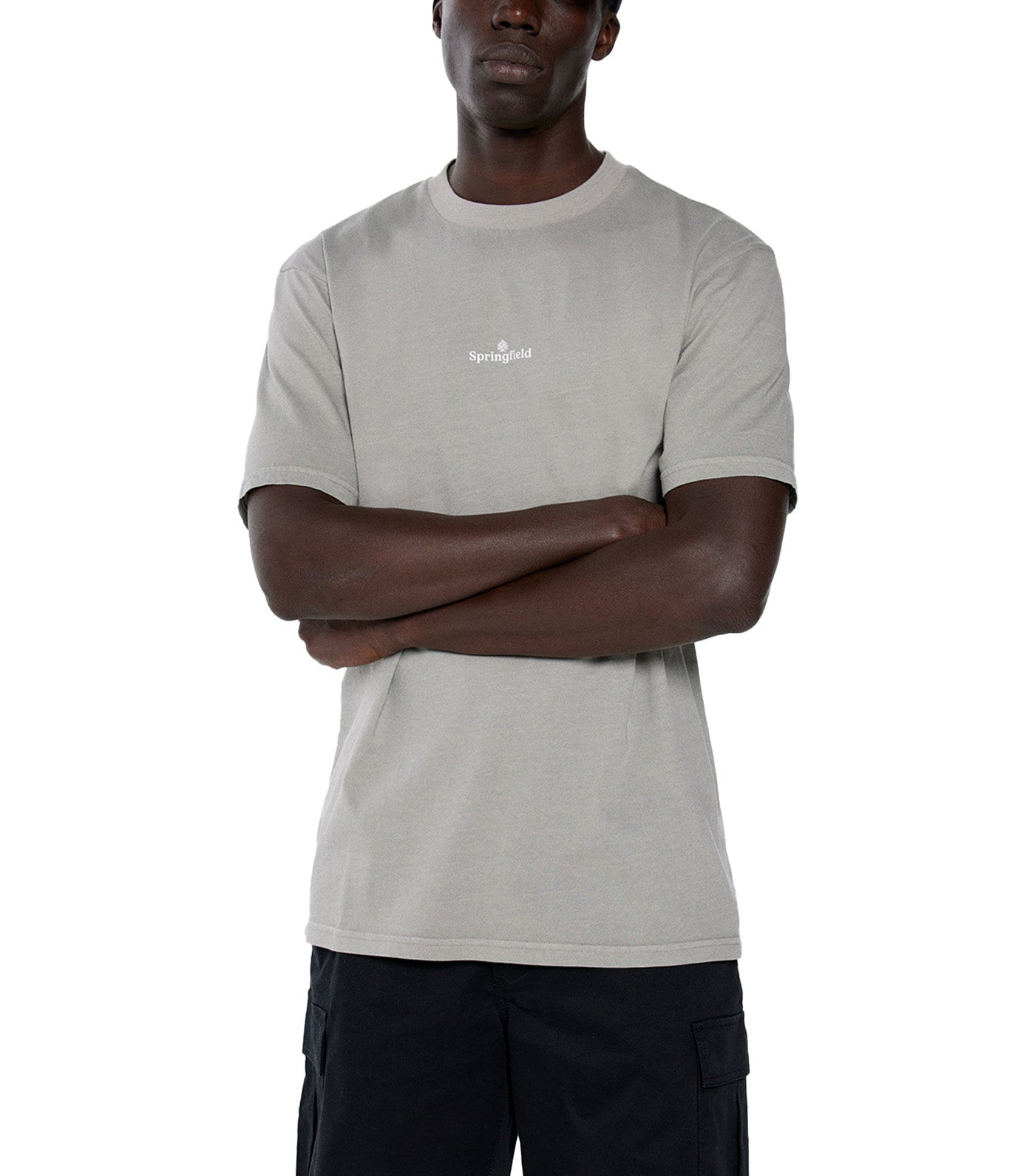 Washed Logo T-Shirt Gray