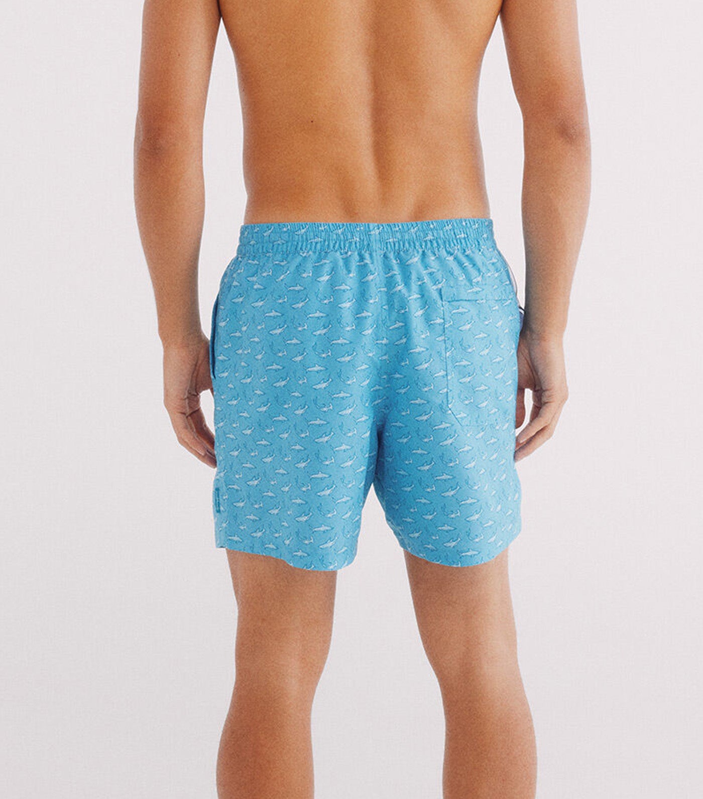 Shark Print Swimsuit Turquoise