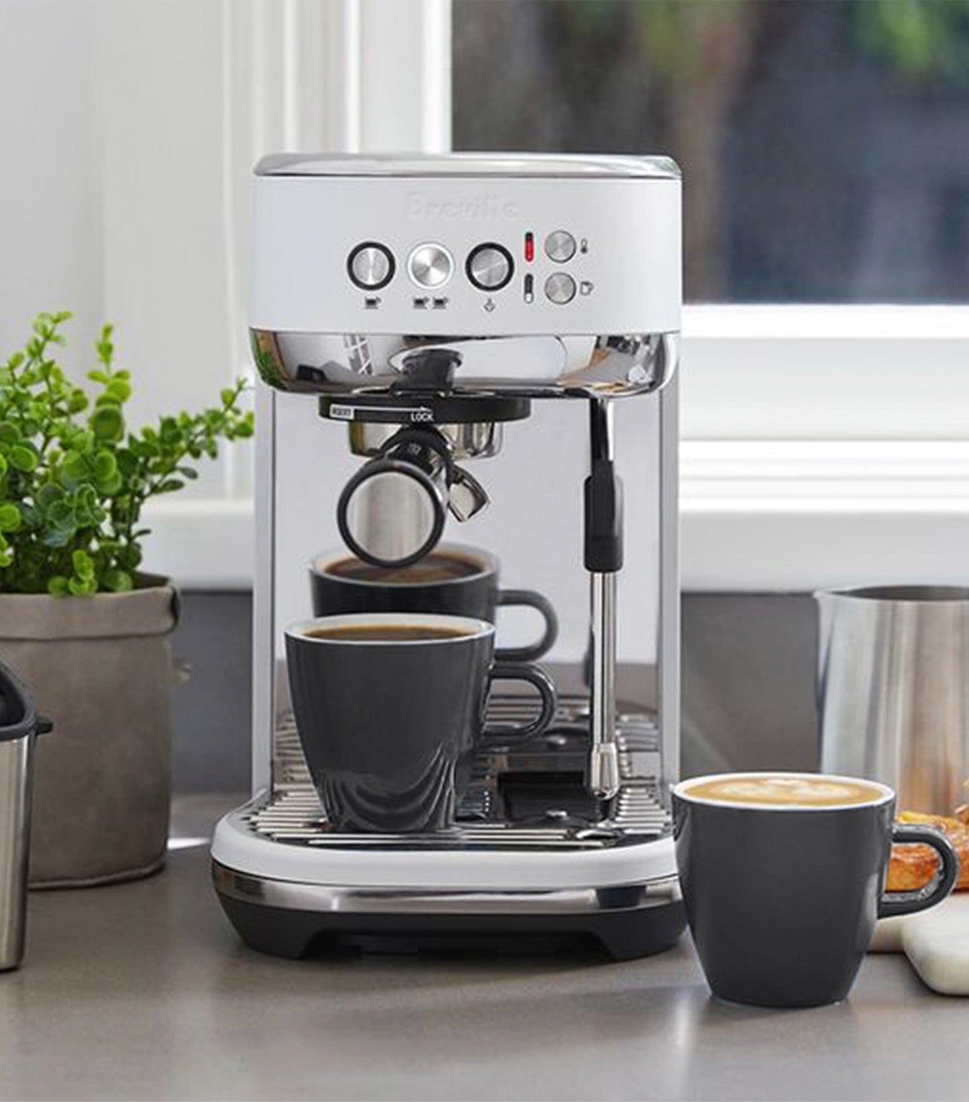 Bambino® Plus Sea Salt