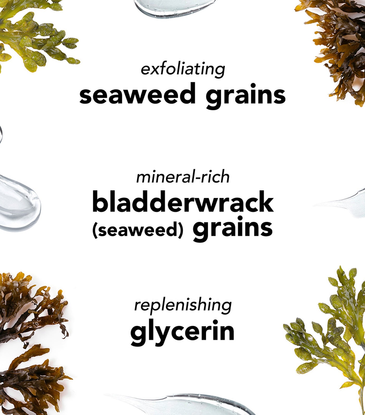 Seaweed Cleansing Lotion