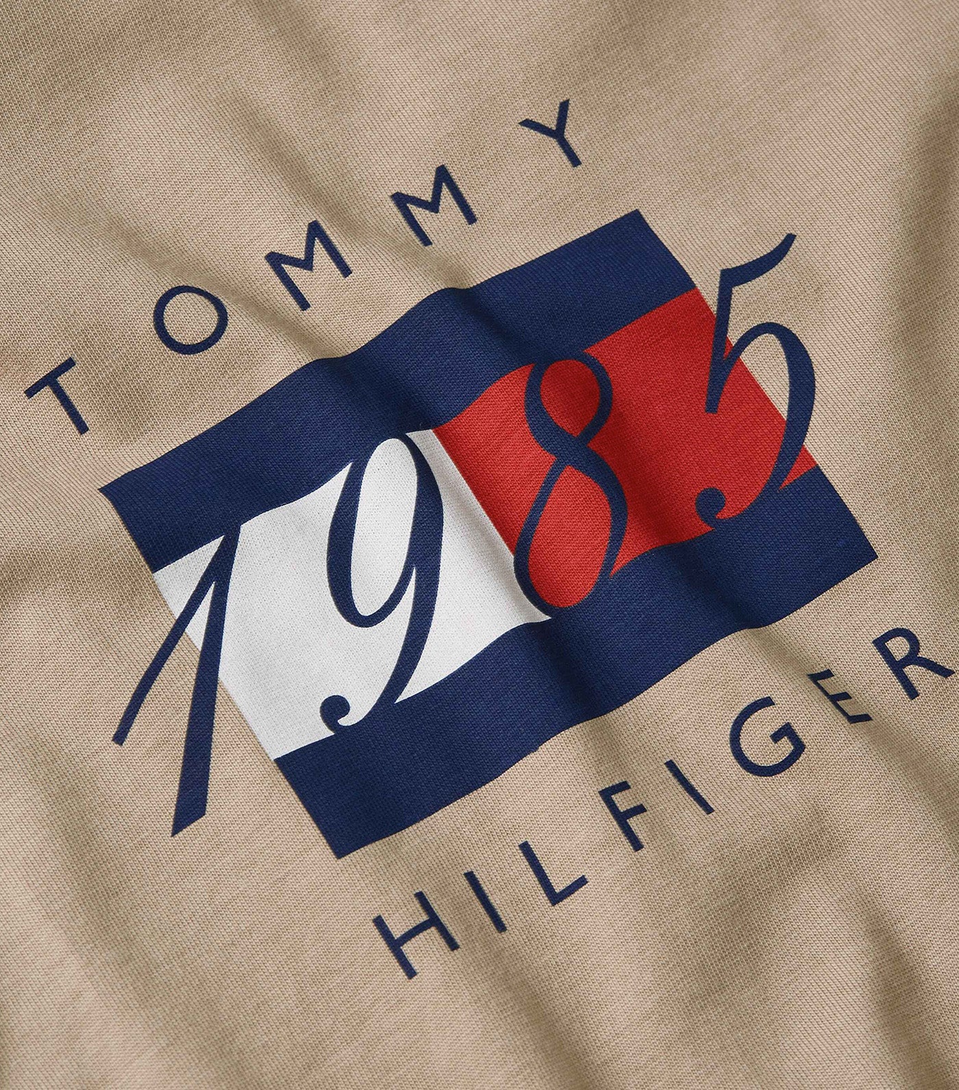 Tommy Hilfiger Men's Linear Flag Graphic T-Shirt Desert Taupe