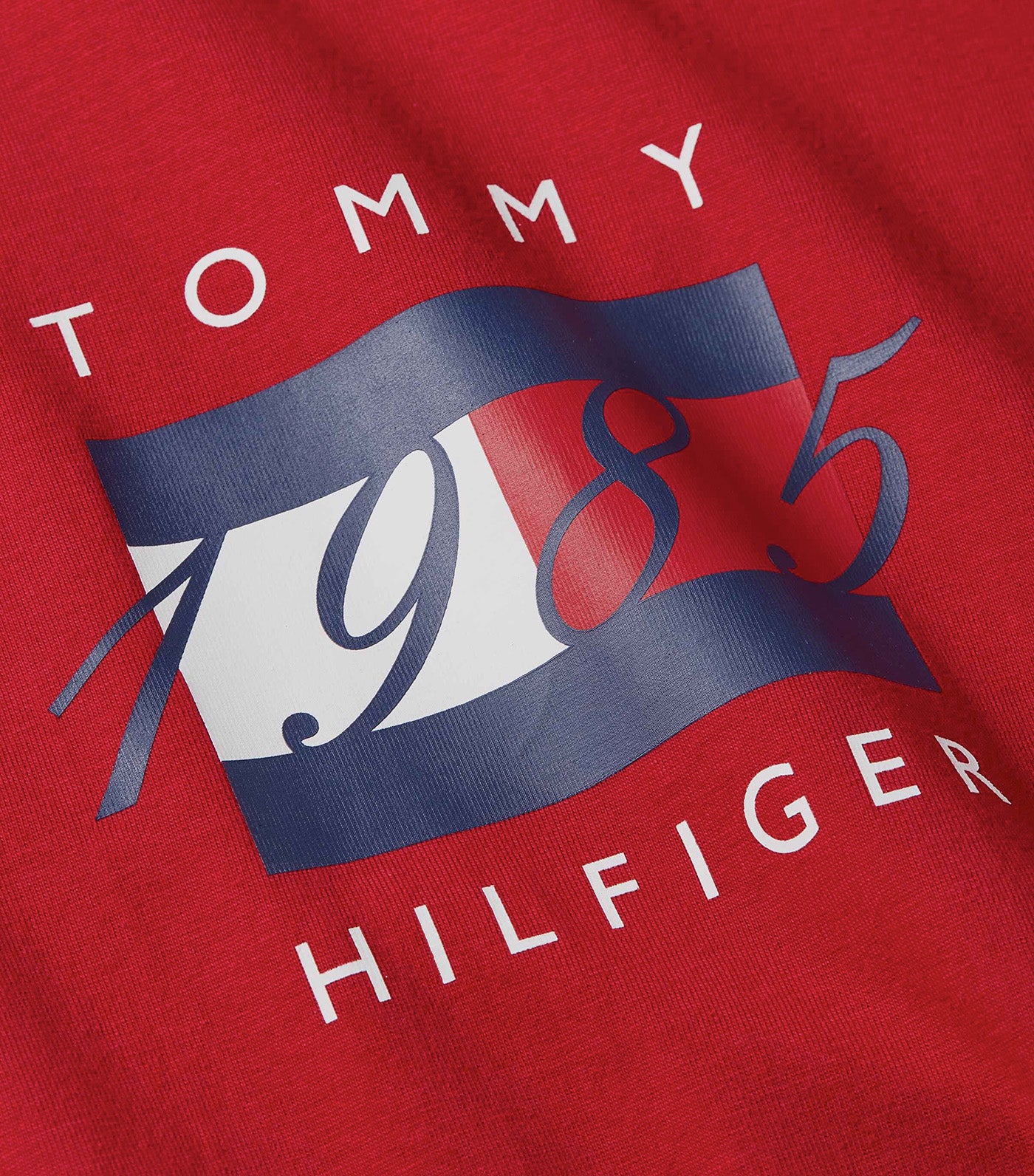 Linear Flag Graphic T-Shirt