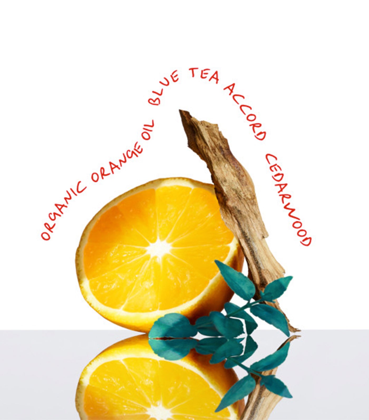 CK EVERYONE Eau de Toilette