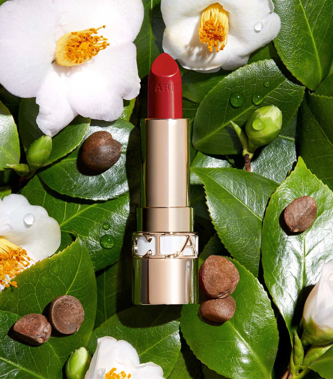 New Joli Rouge Satin Lipstick