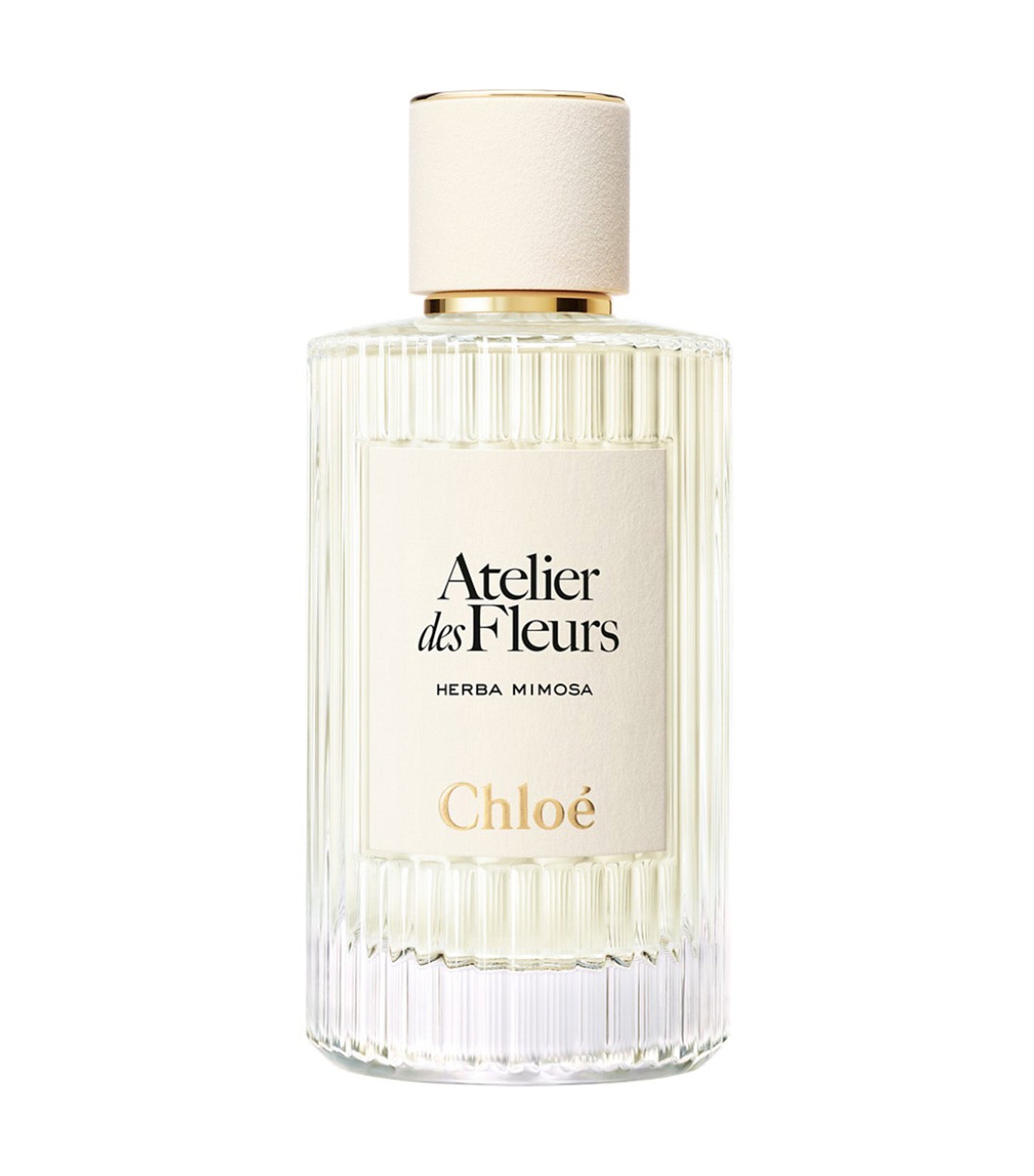 Chloé Atelier des Fleurs Herba Mimosa Eau de Parfum 150ml