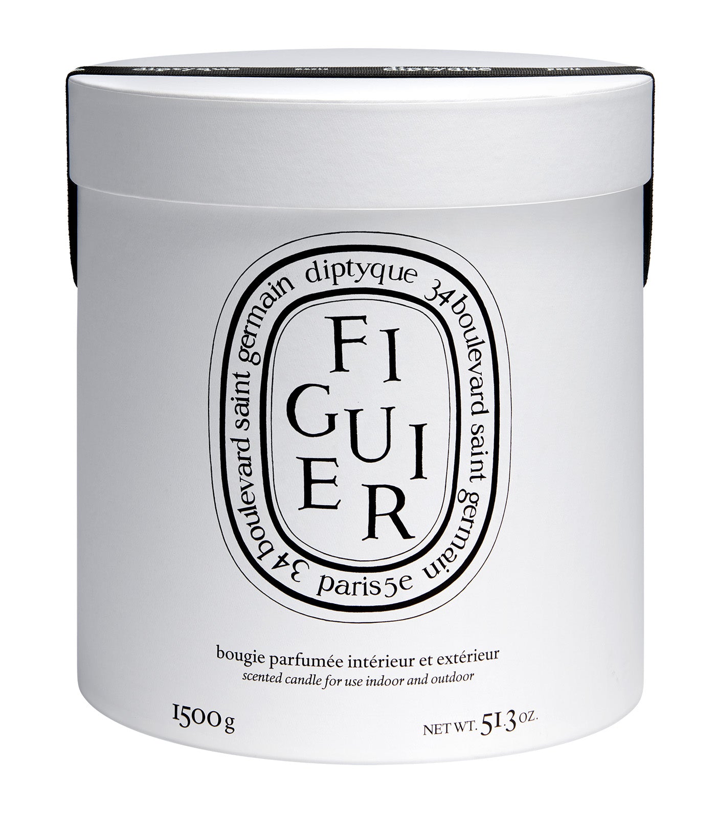 Figuier / Fig Tree Candle Indoor & Outdoor