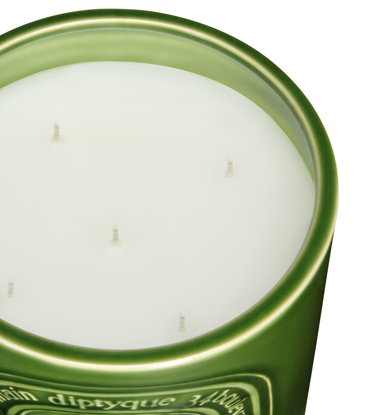 Figuier / Fig Tree Candle Indoor & Outdoor