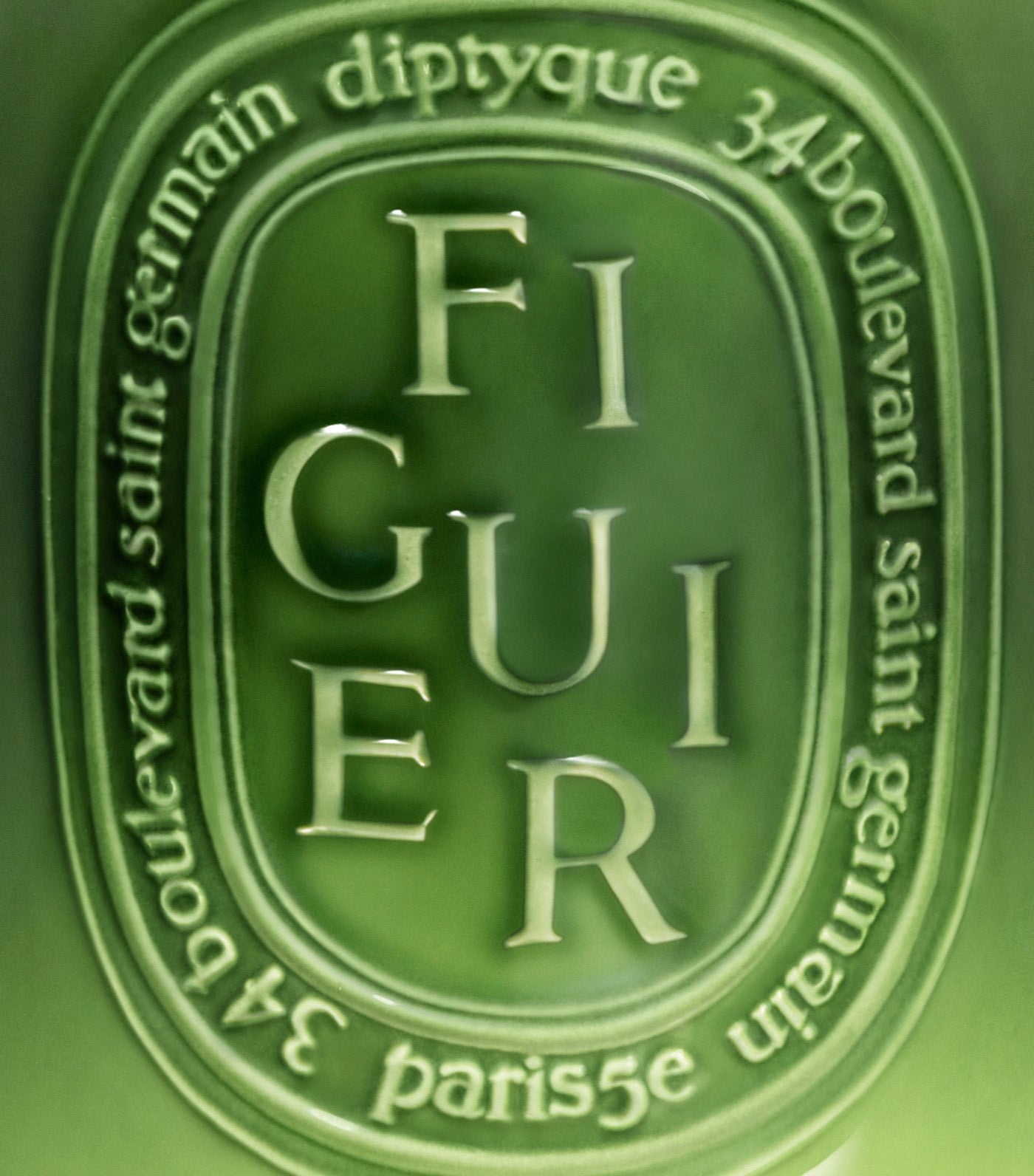 Figuier / Fig Tree Candle Indoor & Outdoor