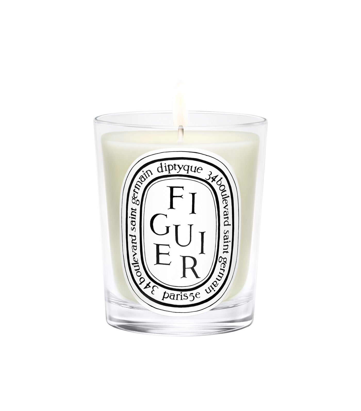 Figuier / Fig Tree Candle