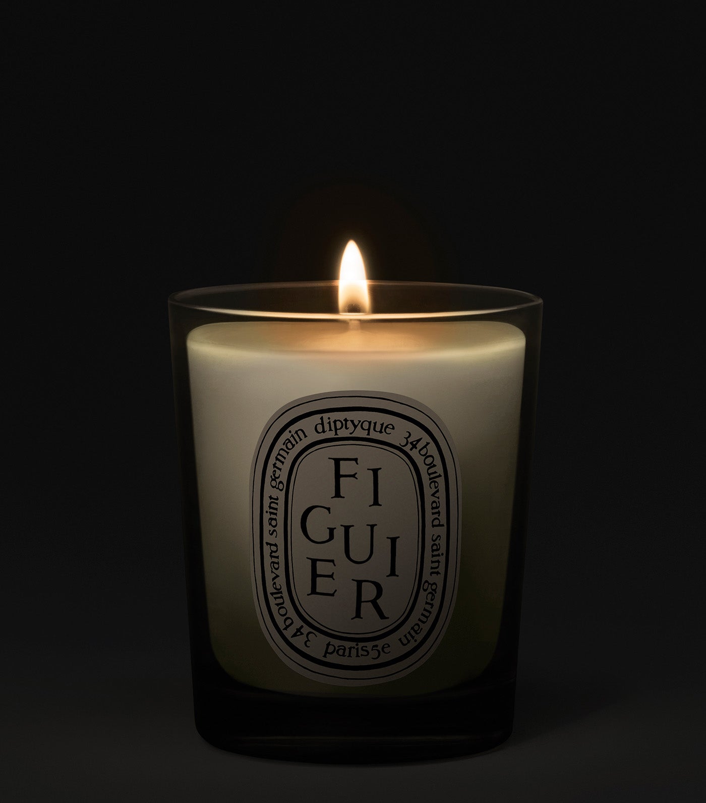 Figuier / Fig Tree Candle