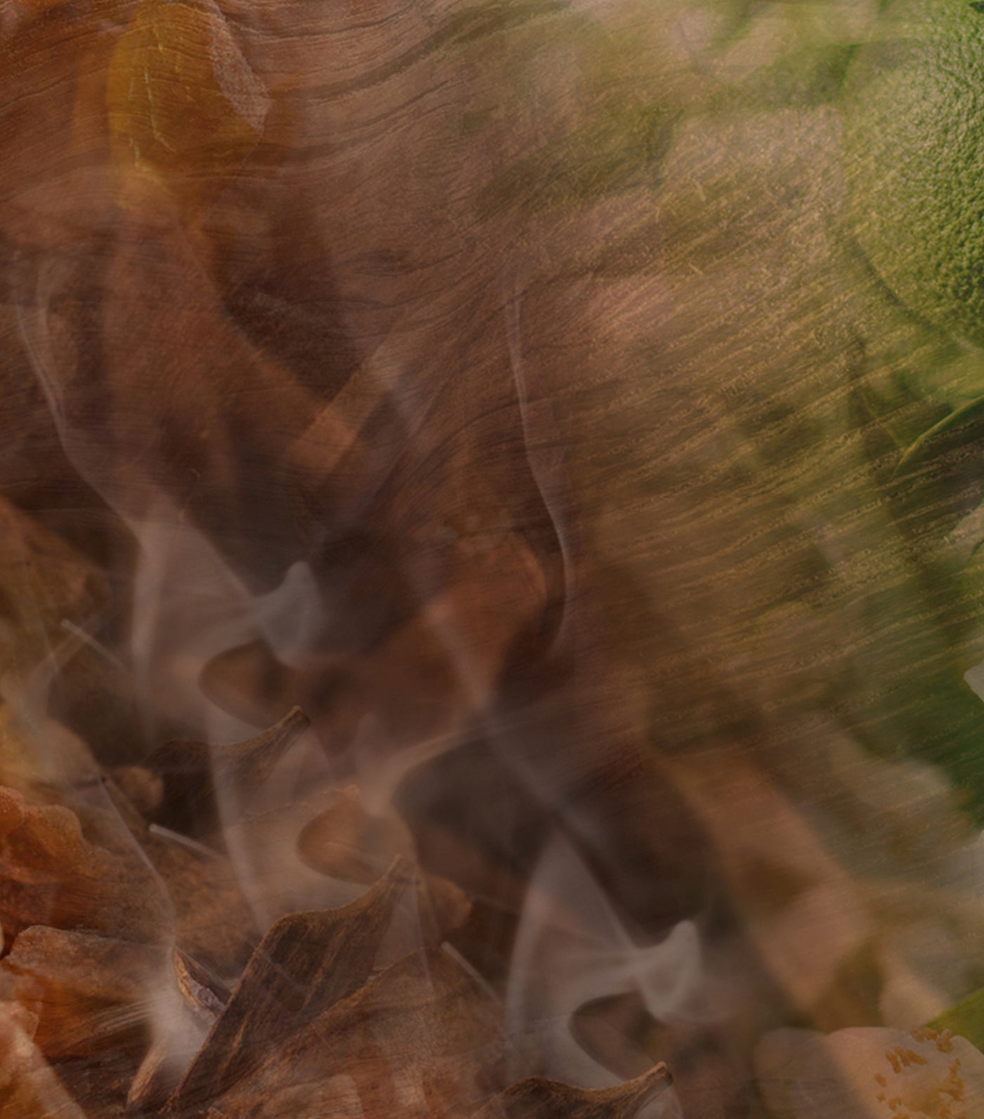 Oud Nobile Diffuser Unisex