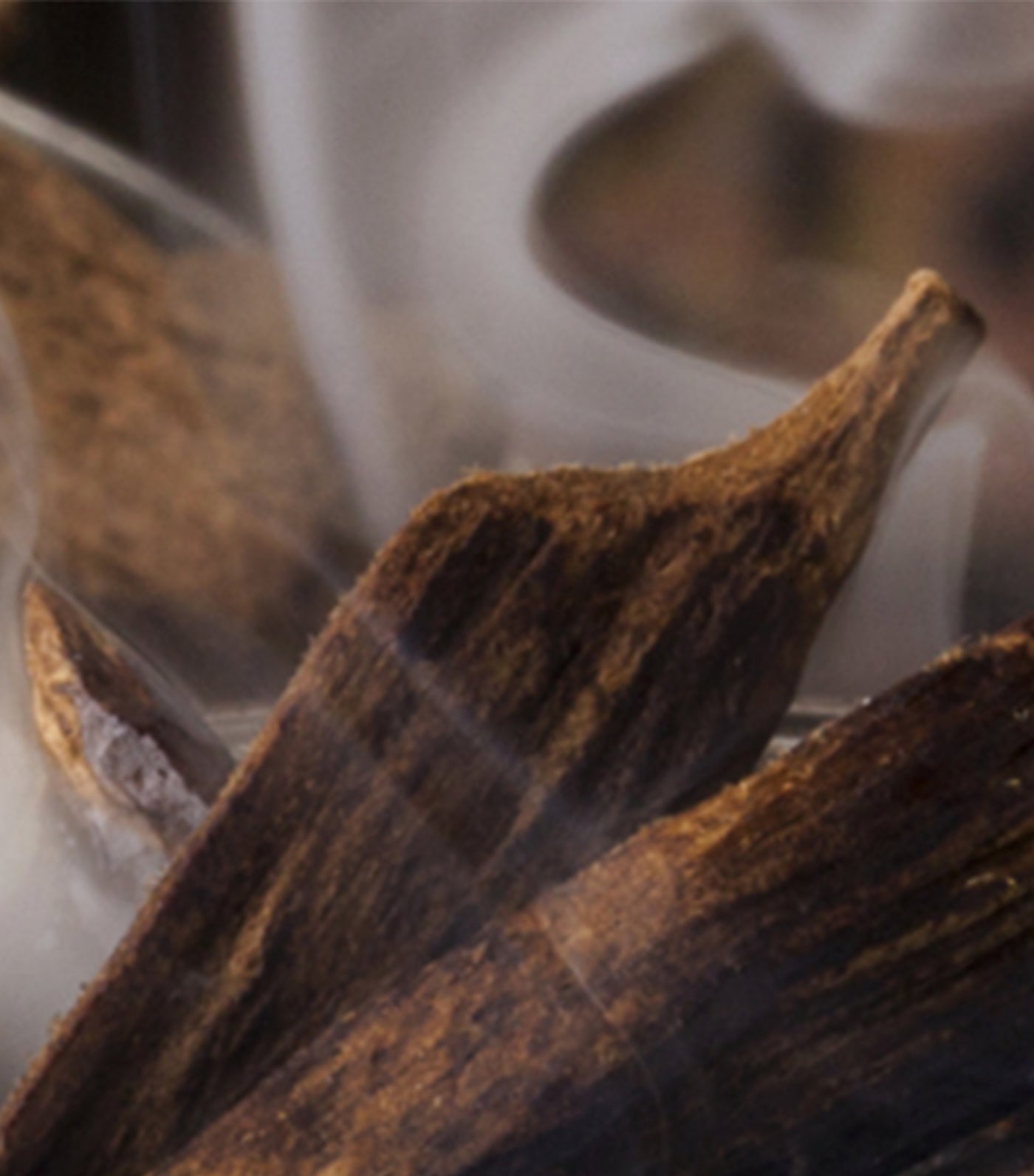 Oud Nobile Diffuser Unisex