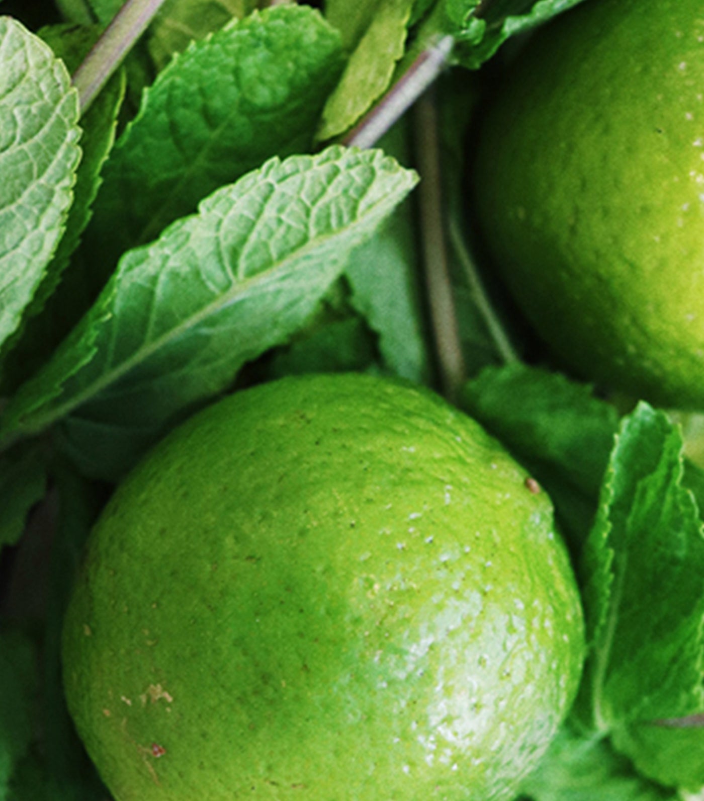 Candle Pearl Ginger Lime