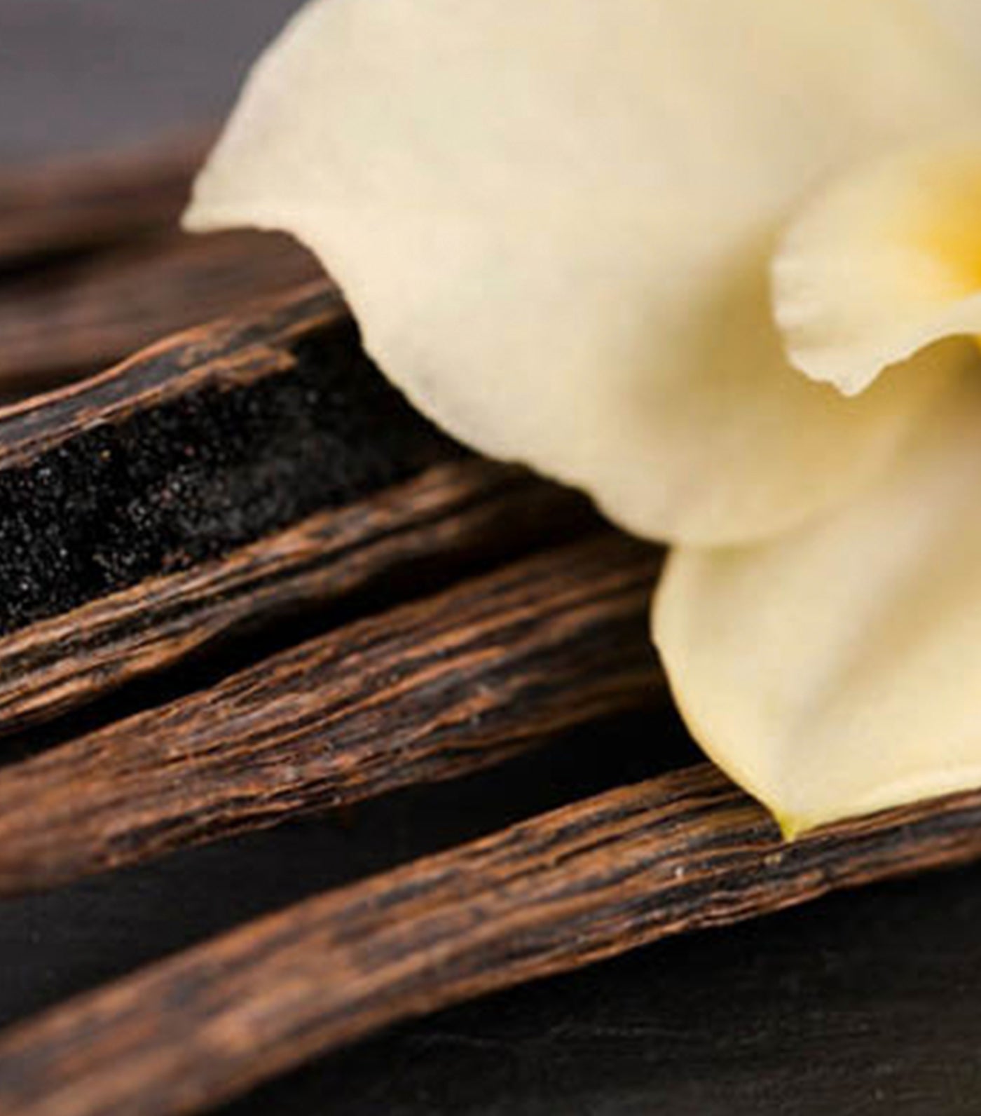 Ambra Diffuser Unisex