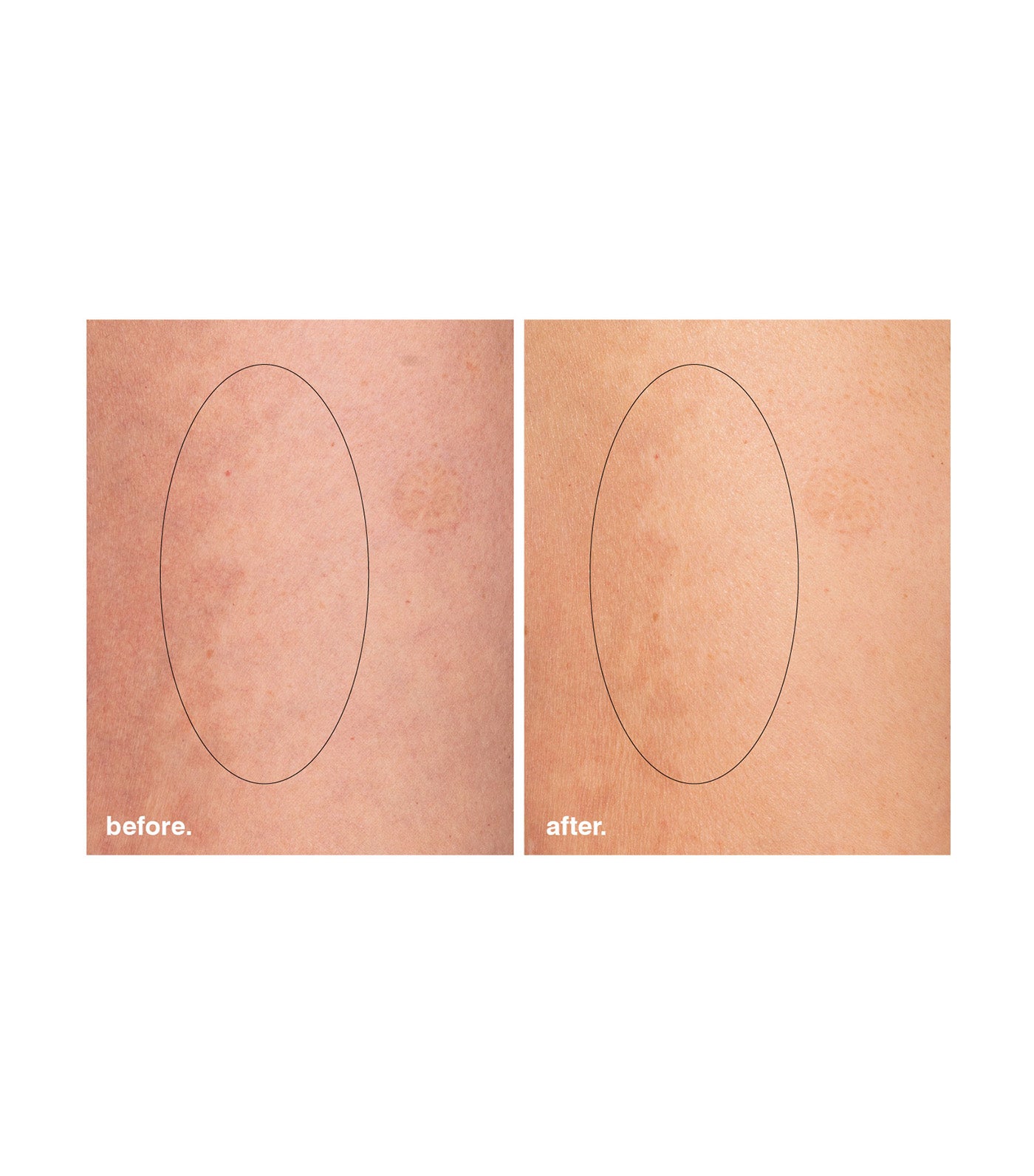 eucalyptus hand + body scrub