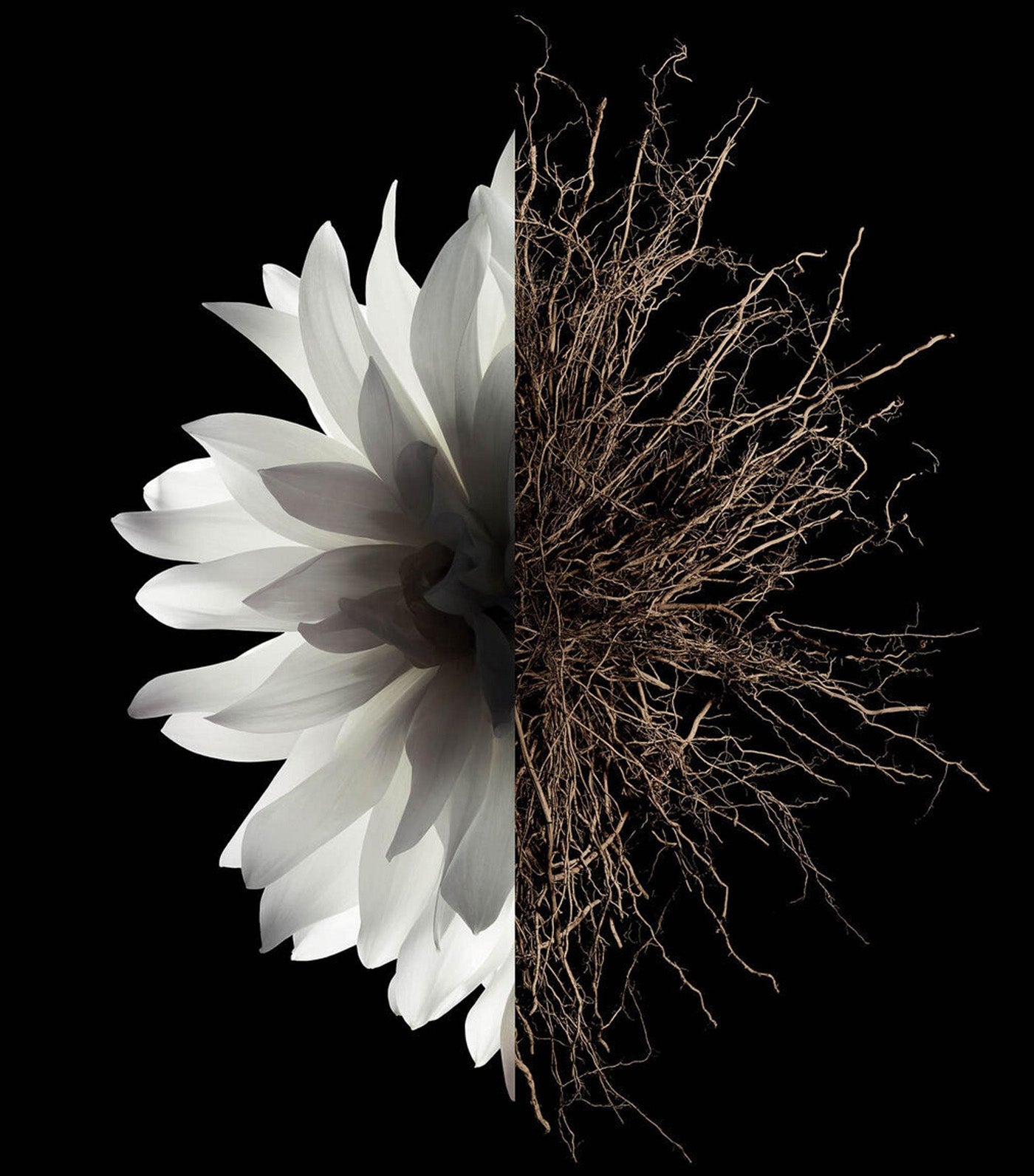 GIVENCHY L'INTERDIT Eau de Parfum