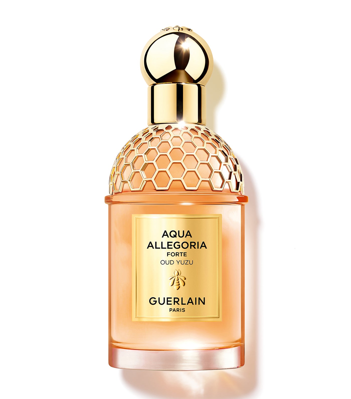 Aqua Allegoria Oud Yuzu Forte Eau de Parfum