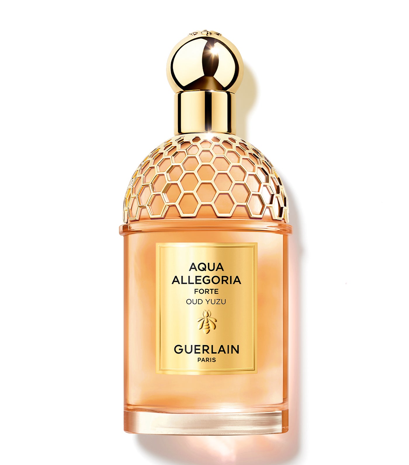 Aqua Allegoria Oud Yuzu Forte Eau de Parfum