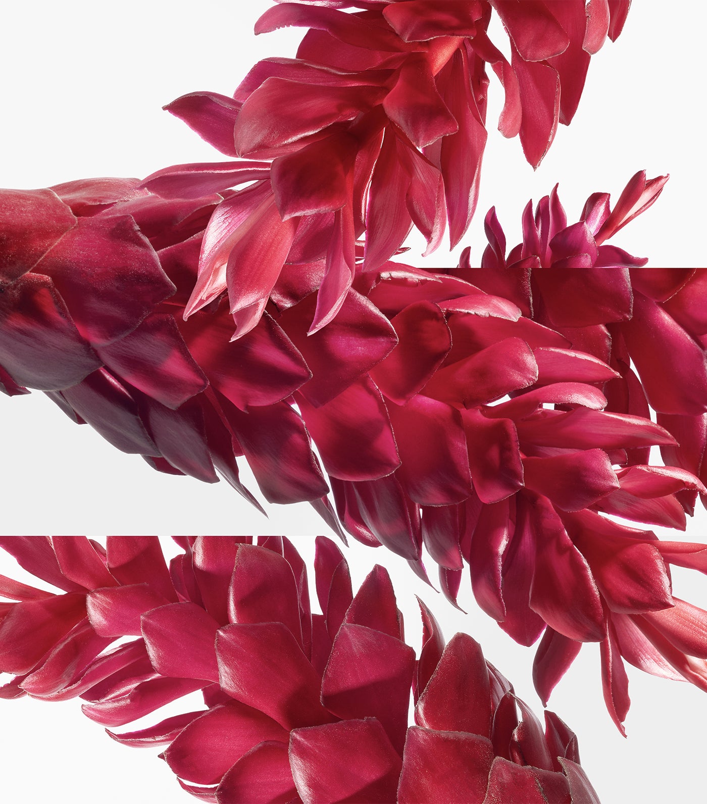 Tutti Twilly d'Hermès, Eau de Parfum