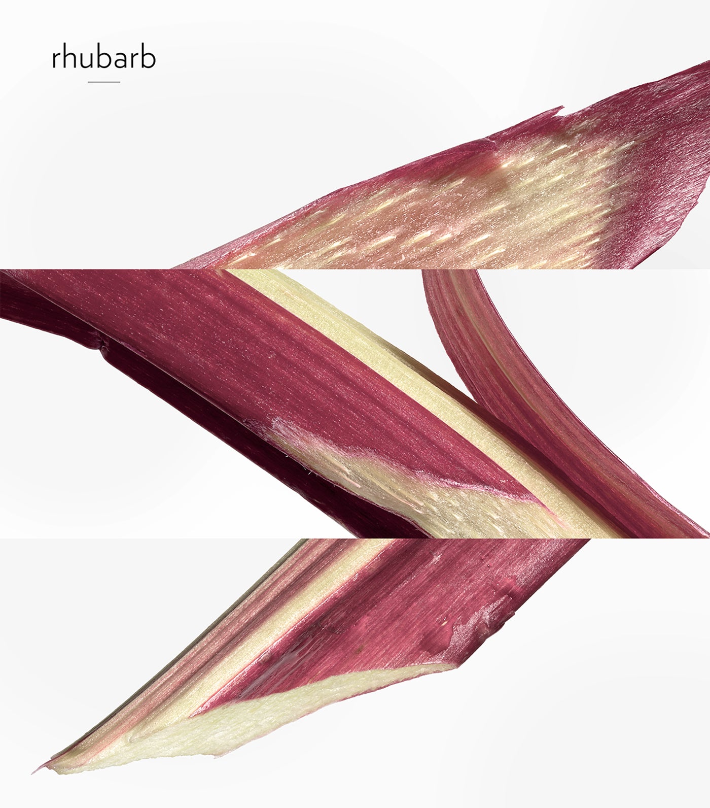 Eau de rhubarbe écarlate, Hair and body shower gel, 200 ml