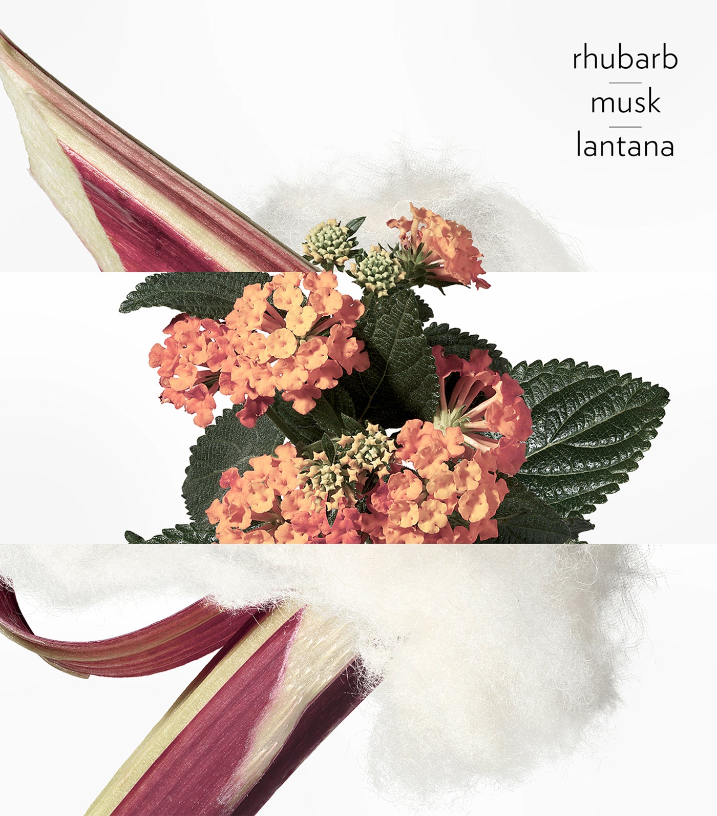 Eau de rhubarbe écarlate, Perfumed soap, 100g