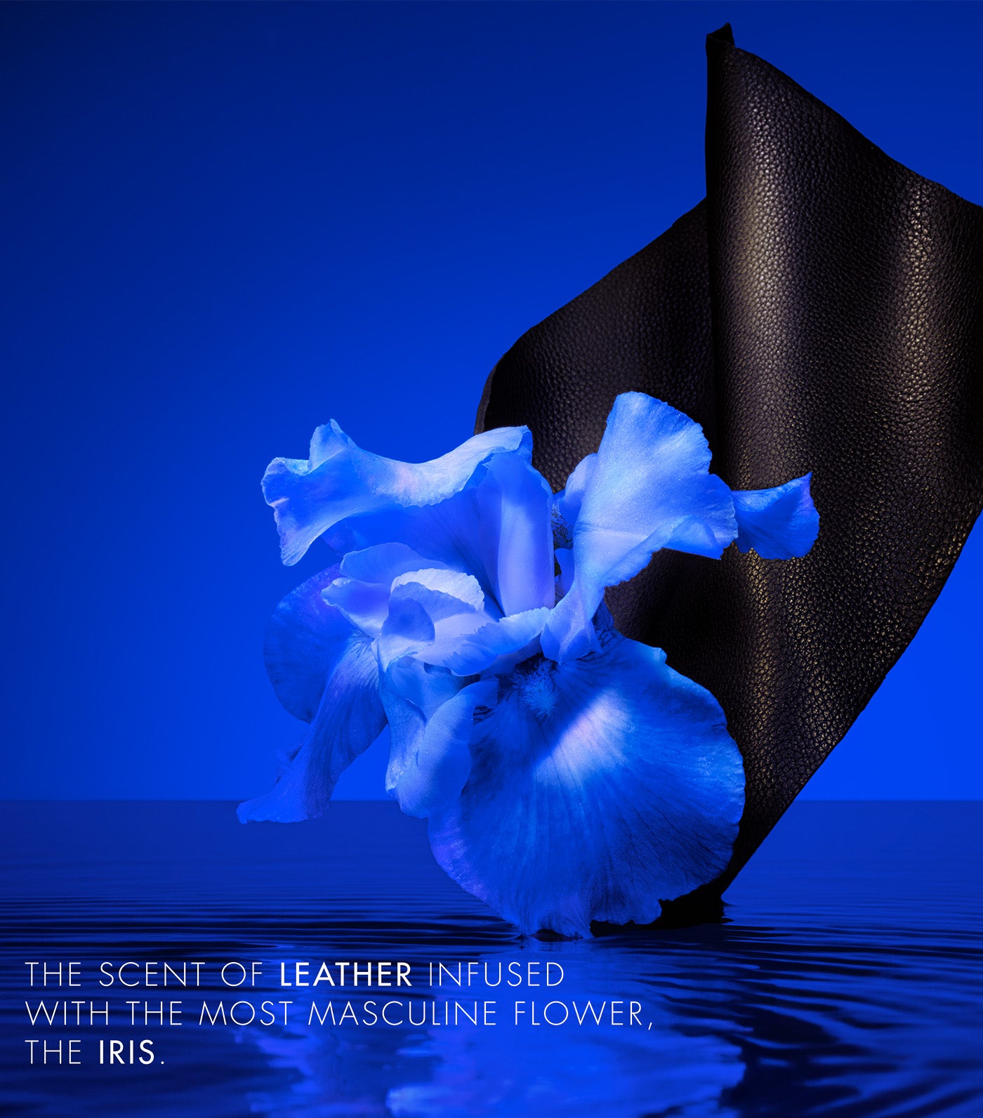 KENZO HOMME Indigo Eau de Parfum