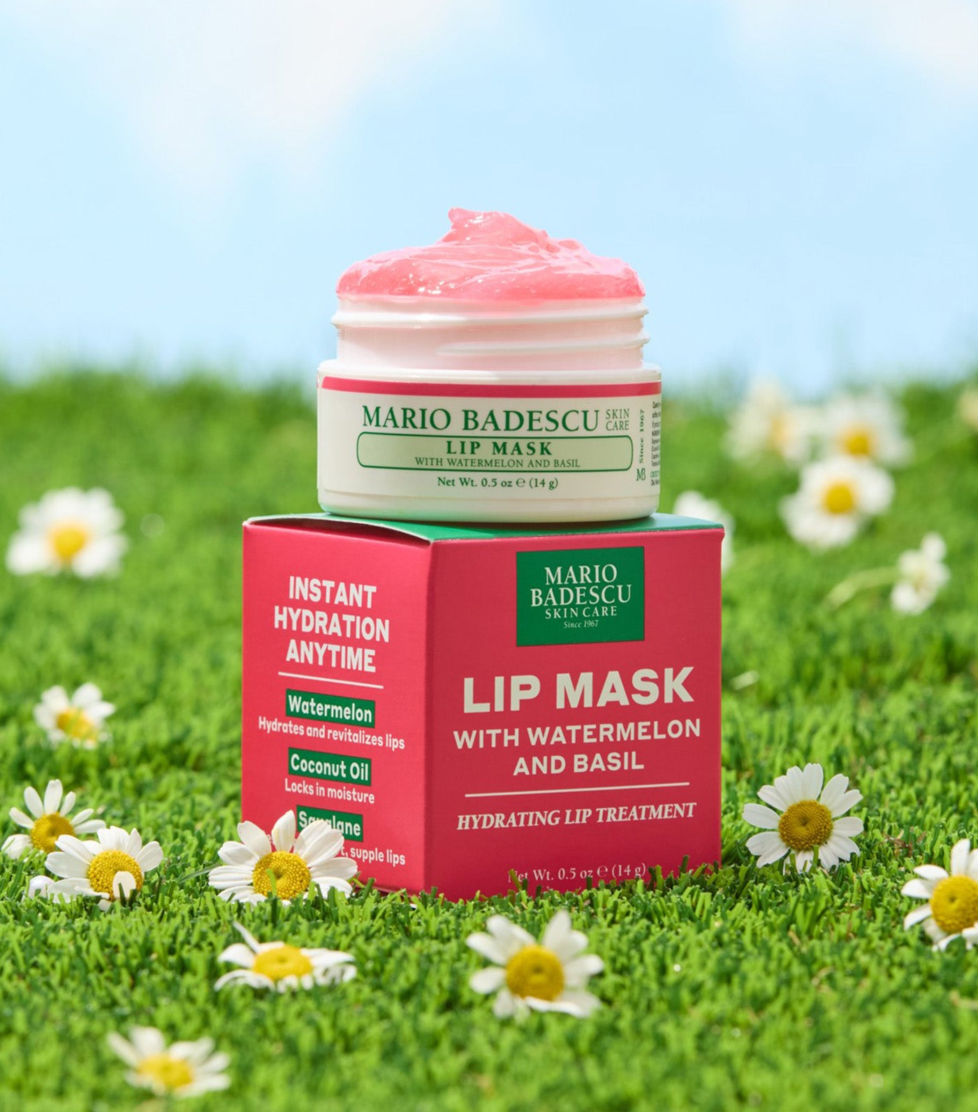 Watermelon and Basil Lip Mask