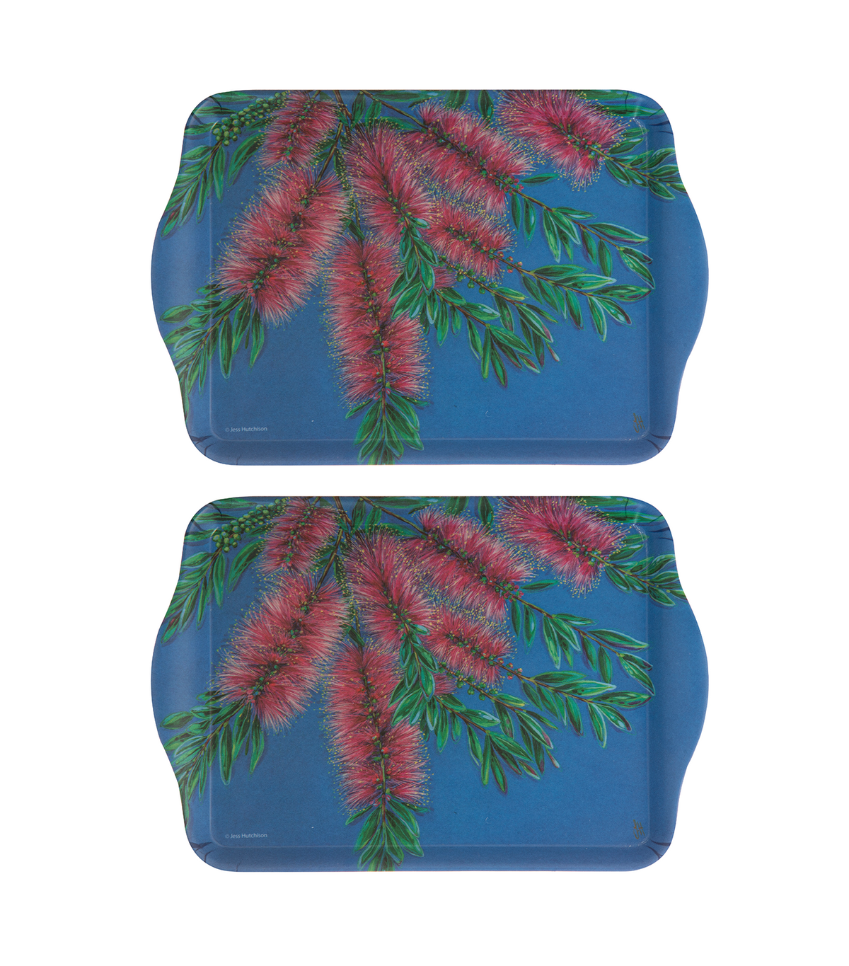 Native Flora Bottle Brush Scatter Tray Set of 2