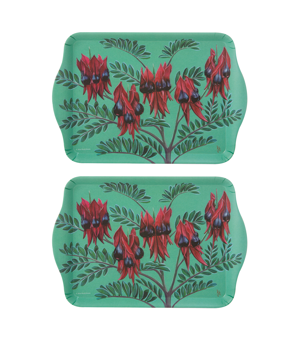 Native Flora Sturt's Desert Pea Scatter Tray Set of 2