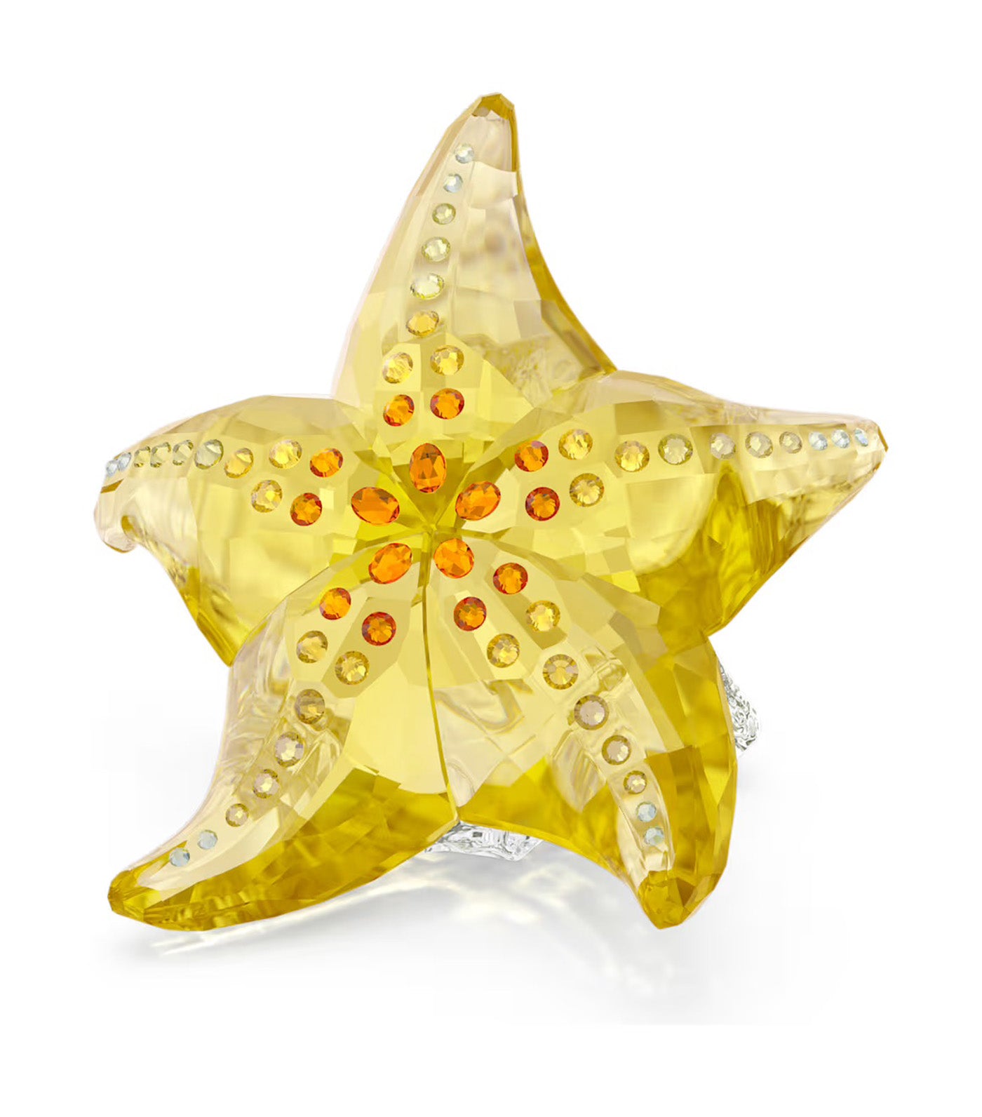 Idyllia SCS Starfish